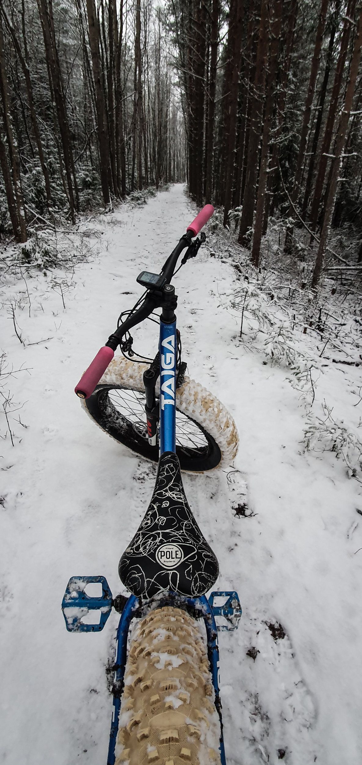 20201212_111815.jpg