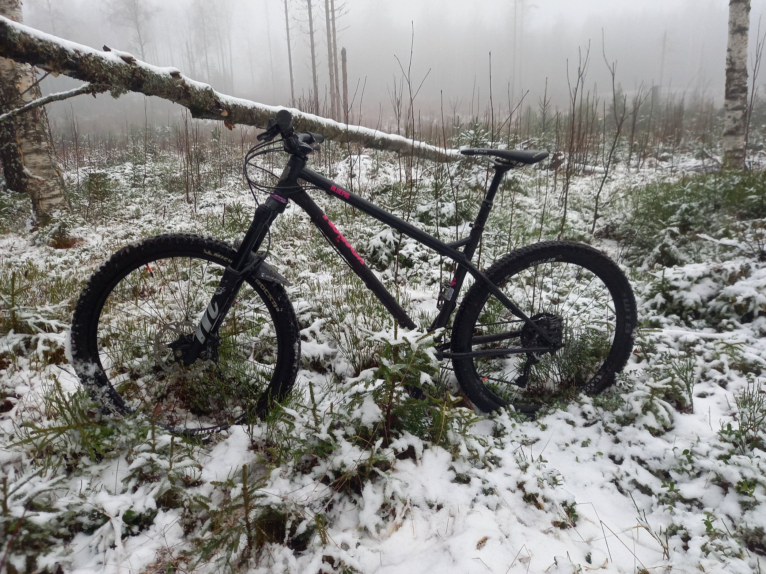 20201212_113229.jpg