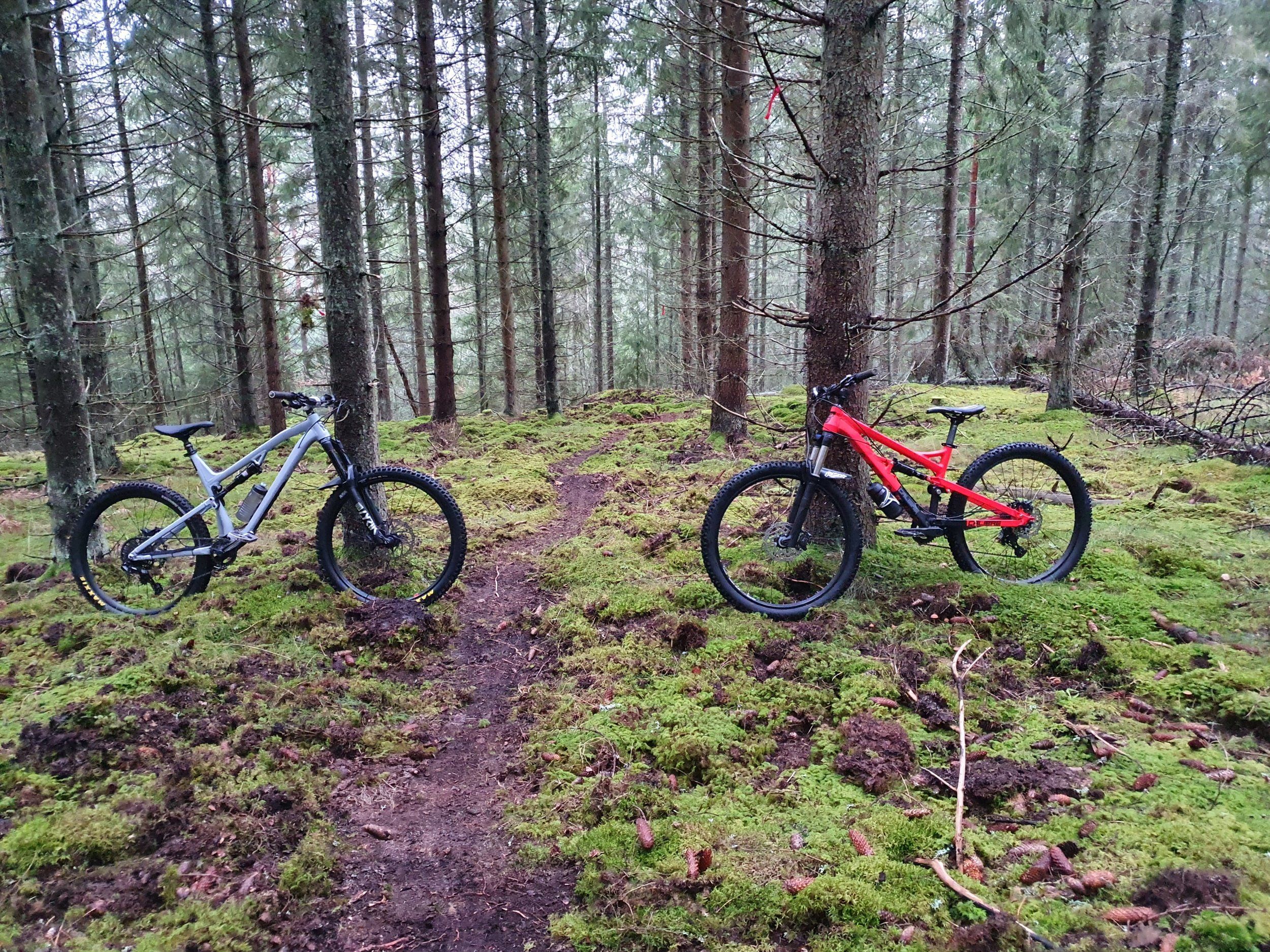 20201212_122649.jpg