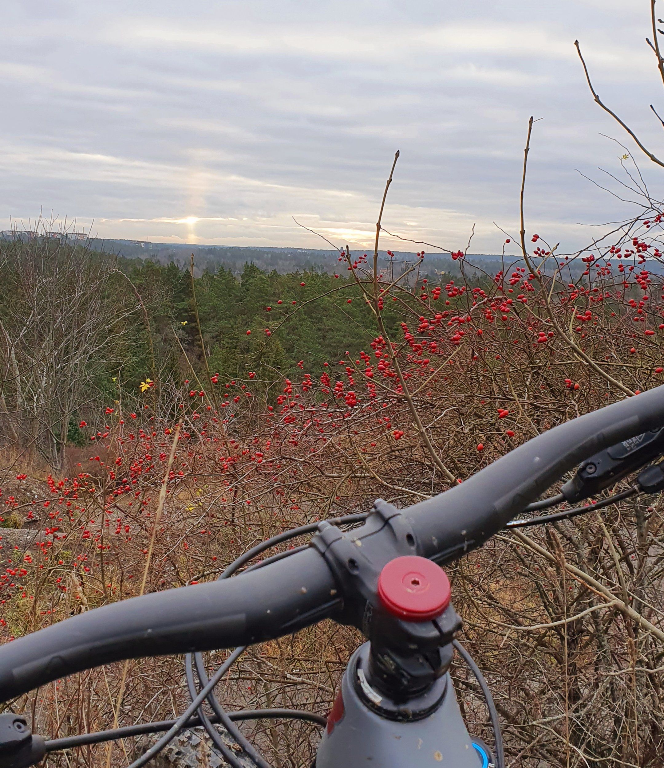 20201214_114320.jpg