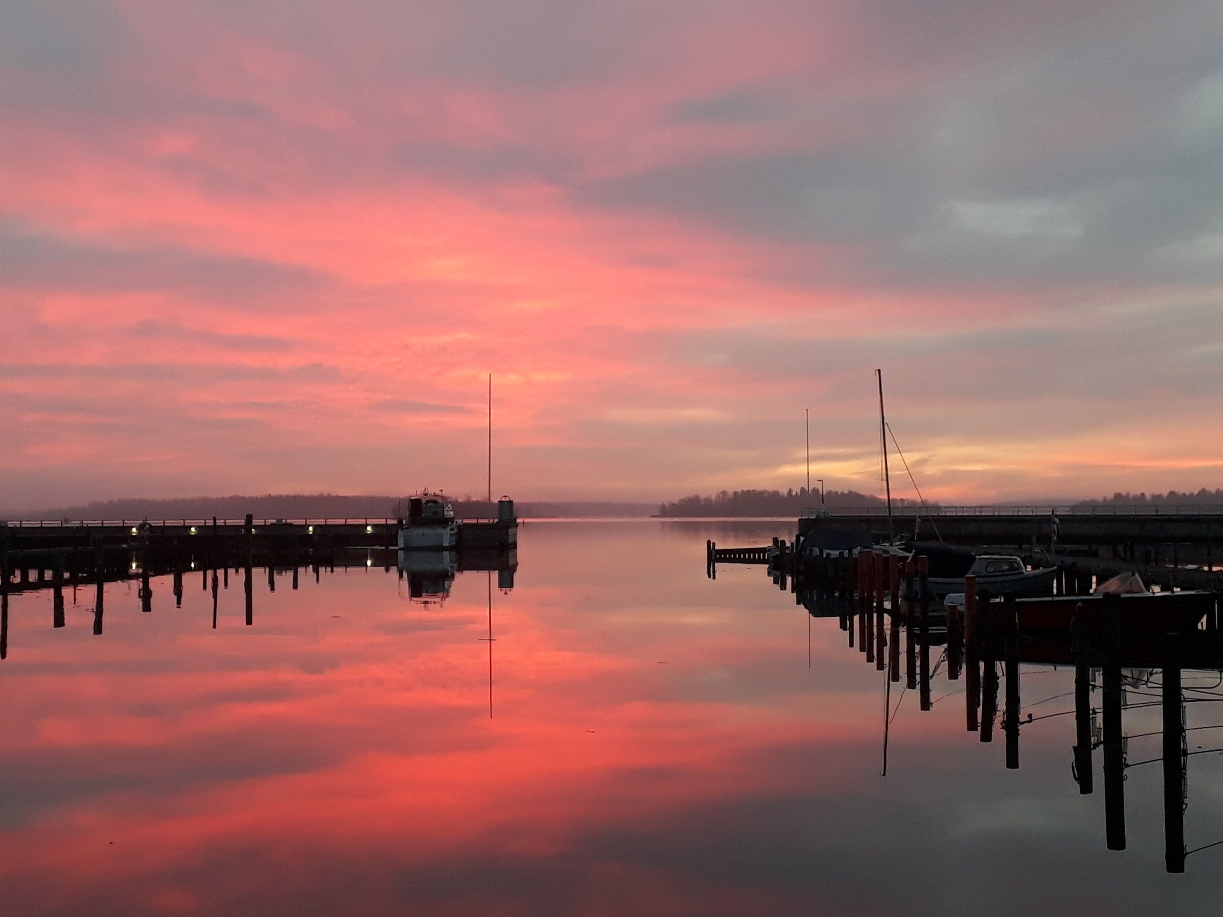20201217_082454.jpg