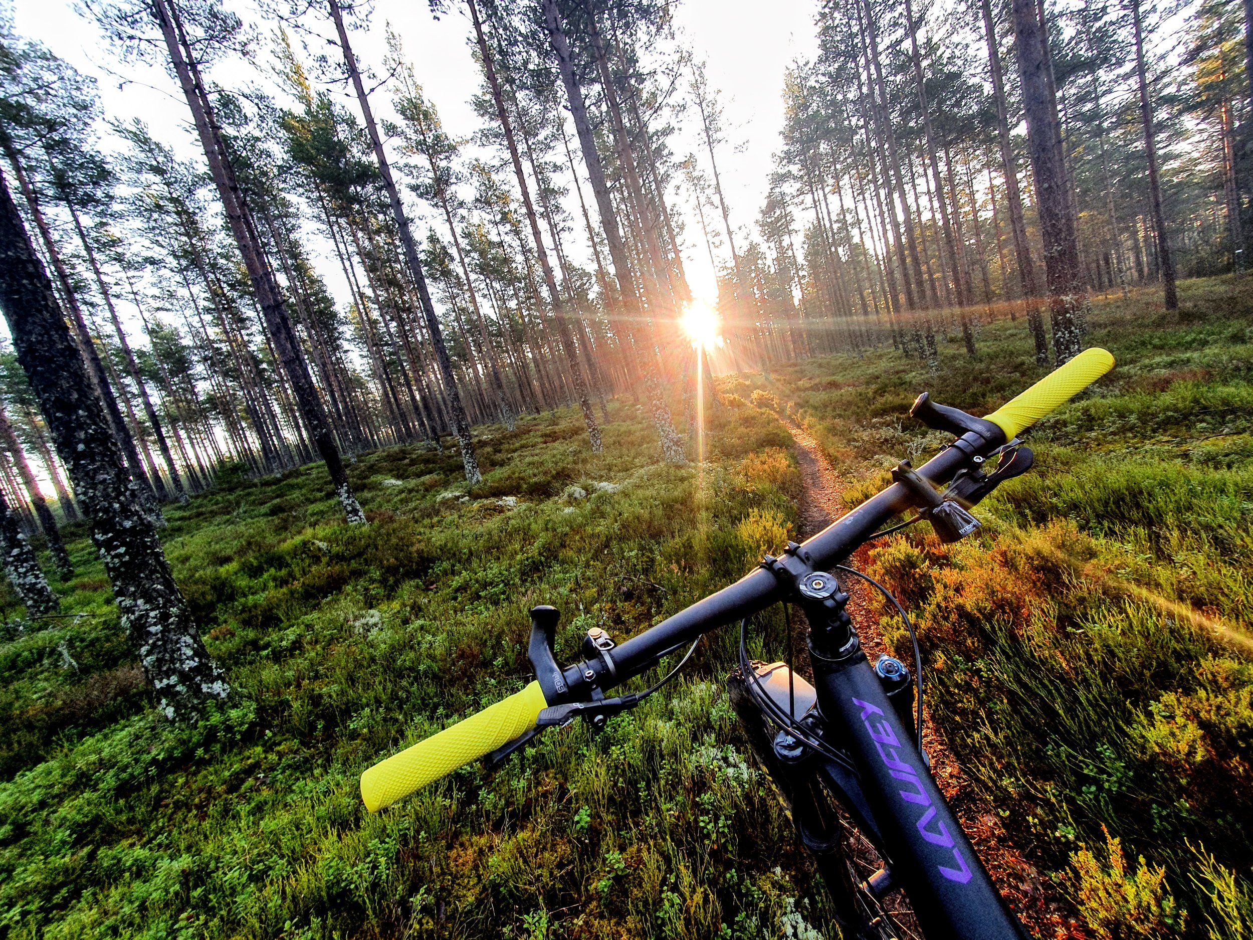 20201219_101730~2.jpg