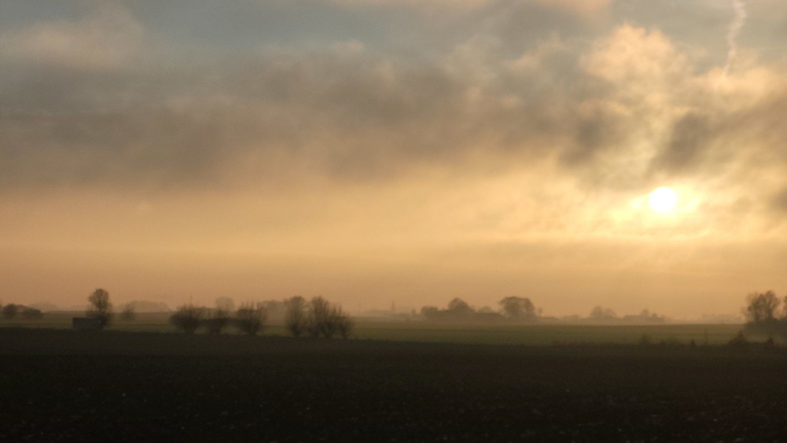 20201219_144742_001.jpg