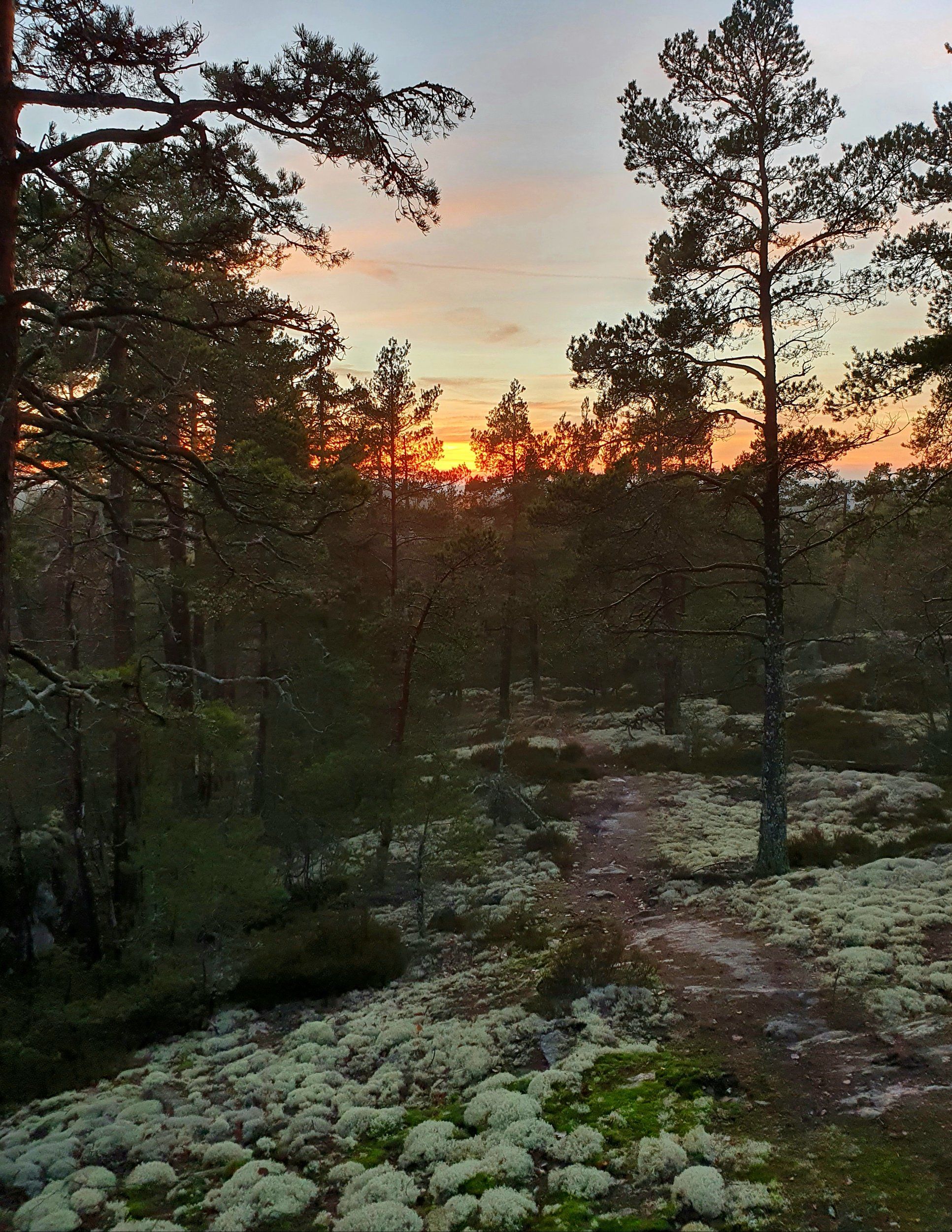 20201219_165837.jpg