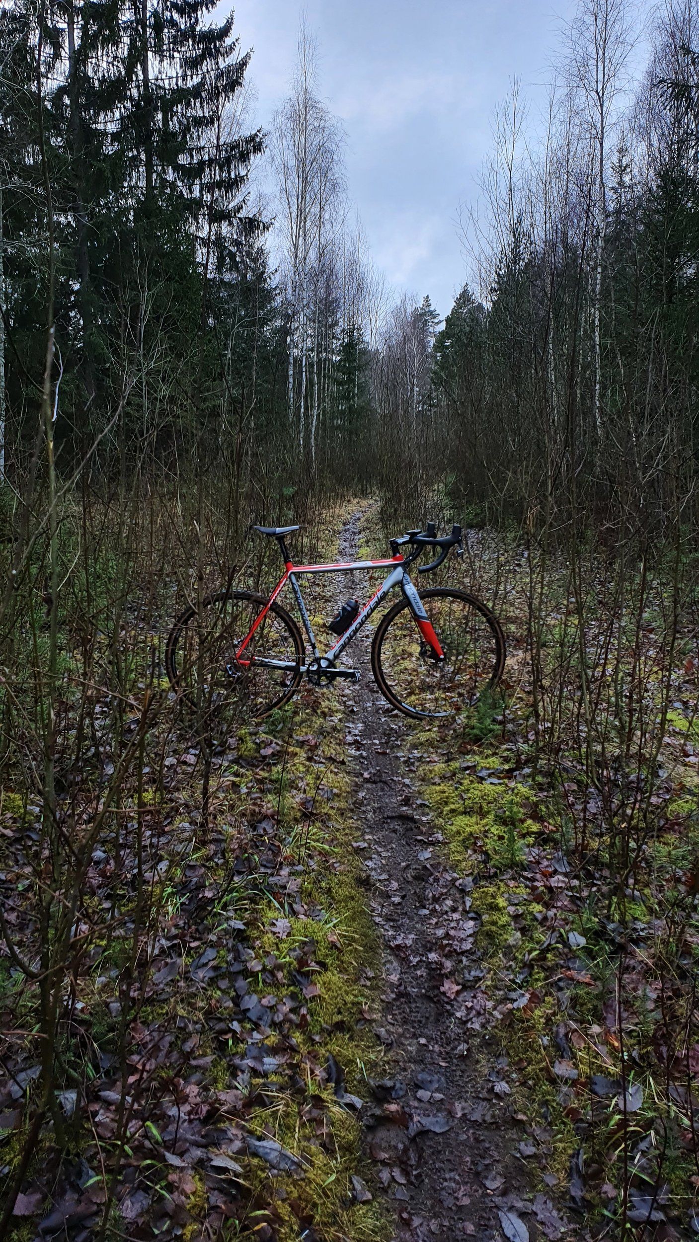 20201220_121607.jpg