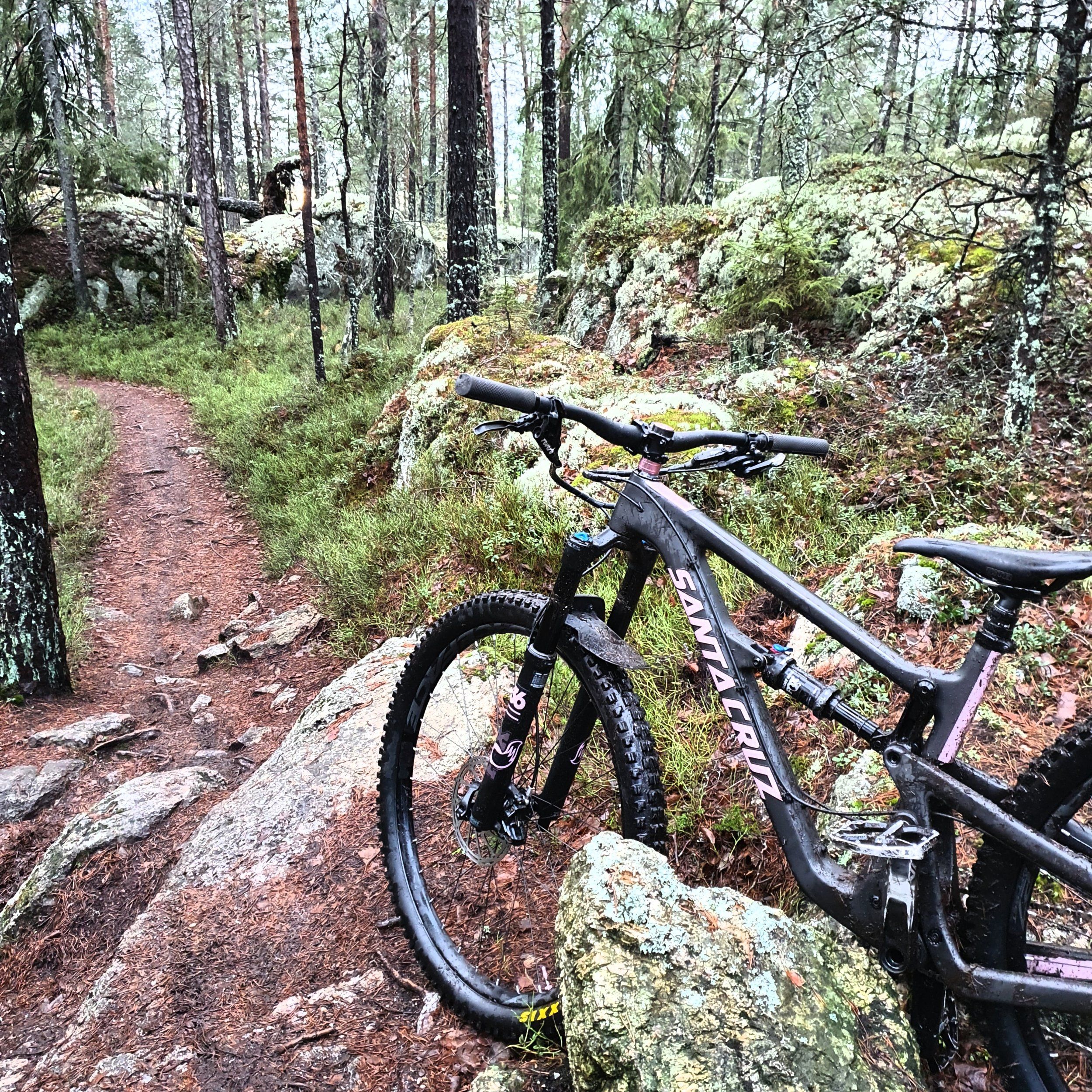 20201223_113950.jpg