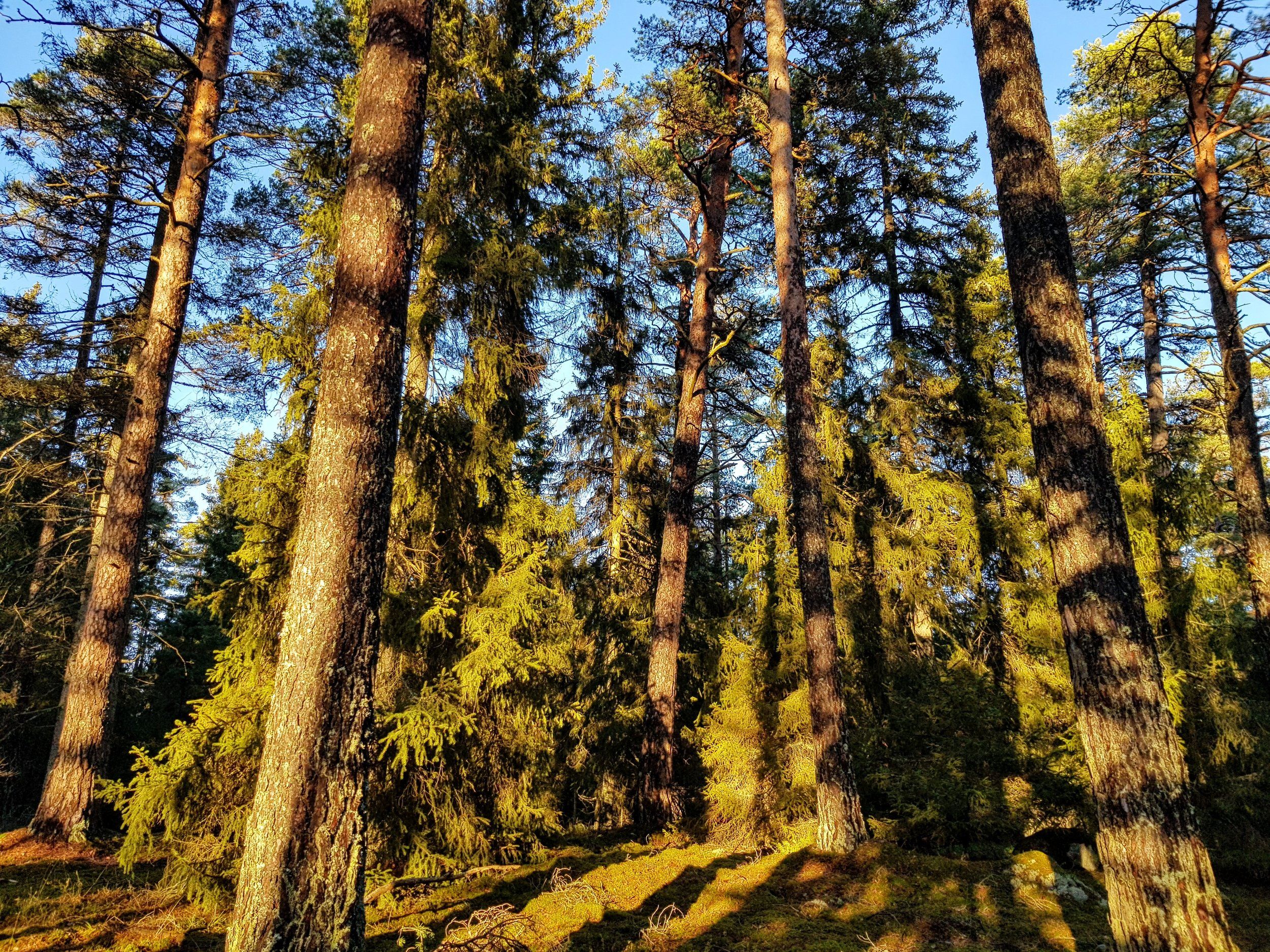 20201223_121836~2.jpg