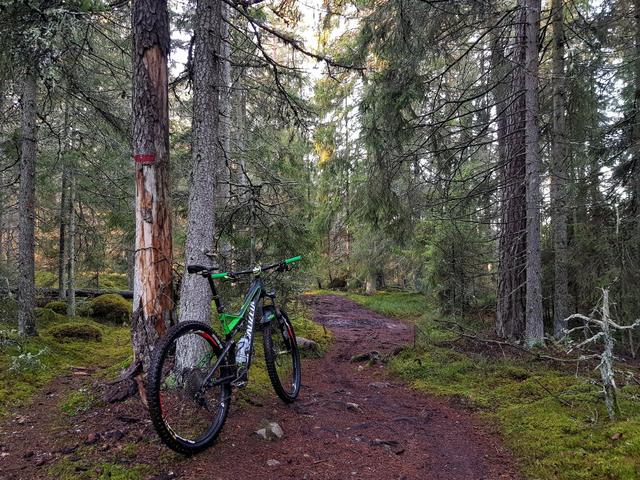 20201223_123000~2.jpg