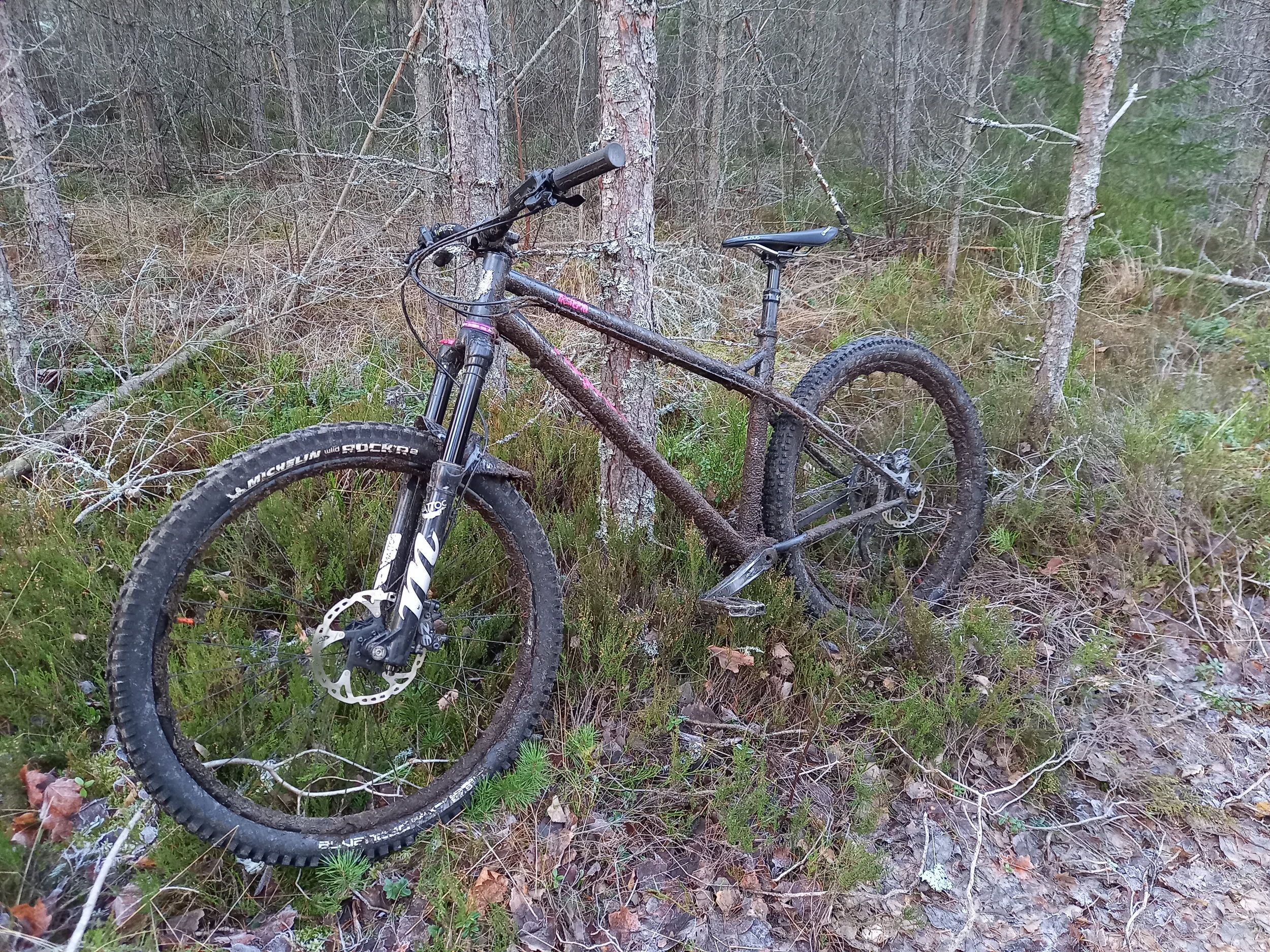 20201225_135501.jpg