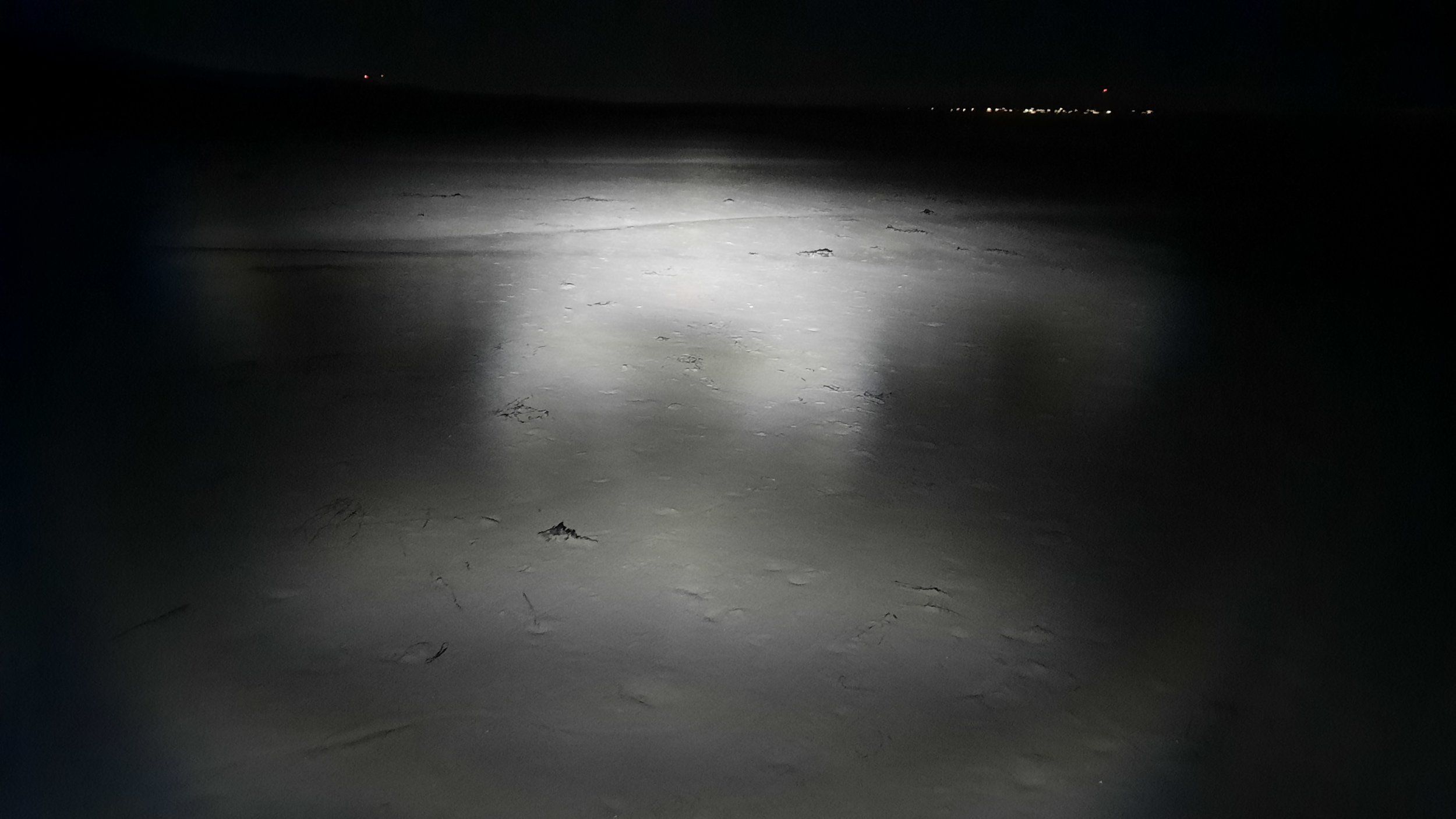 20201225_181612.jpg