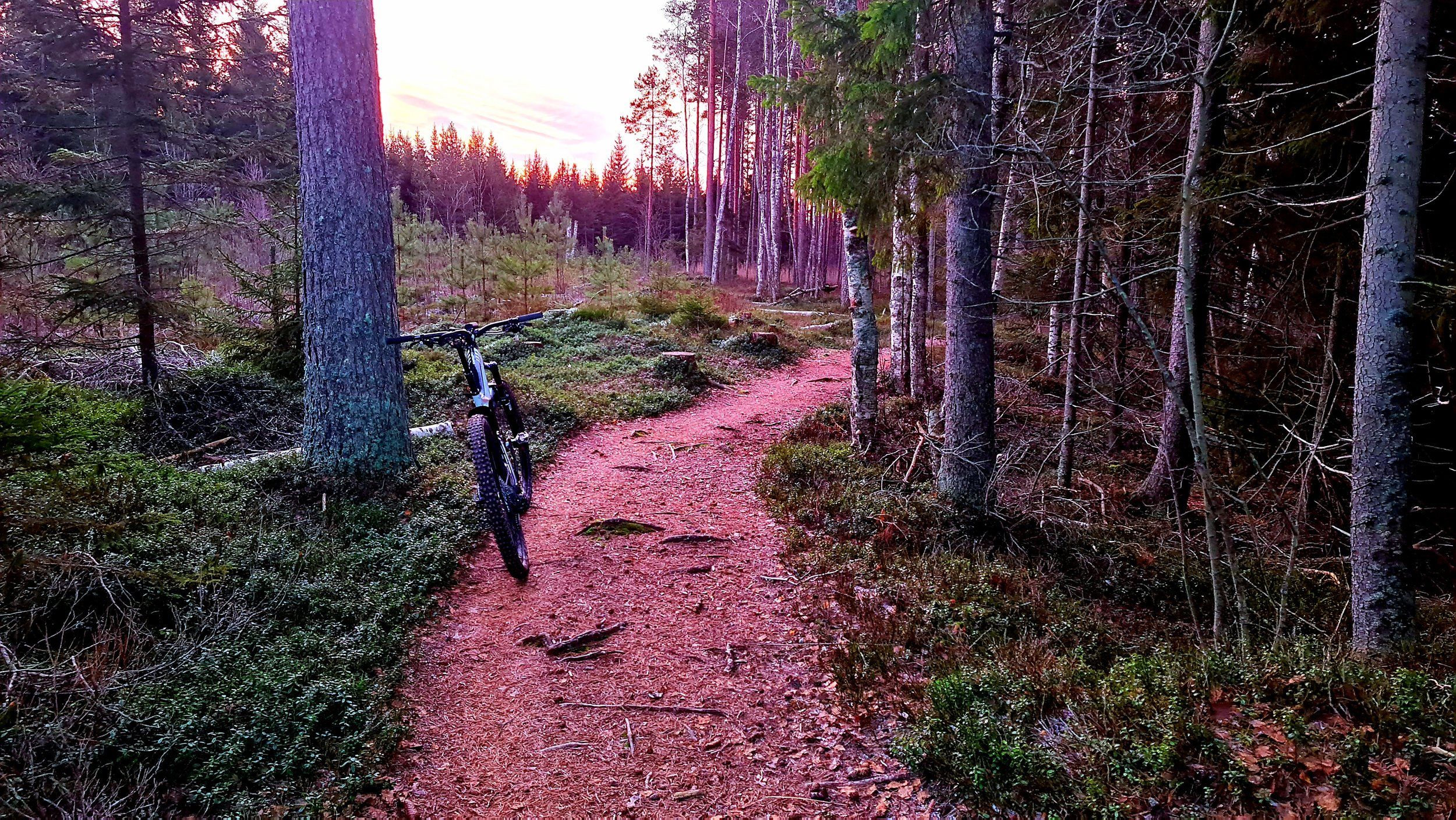 20201226_102435.jpg
