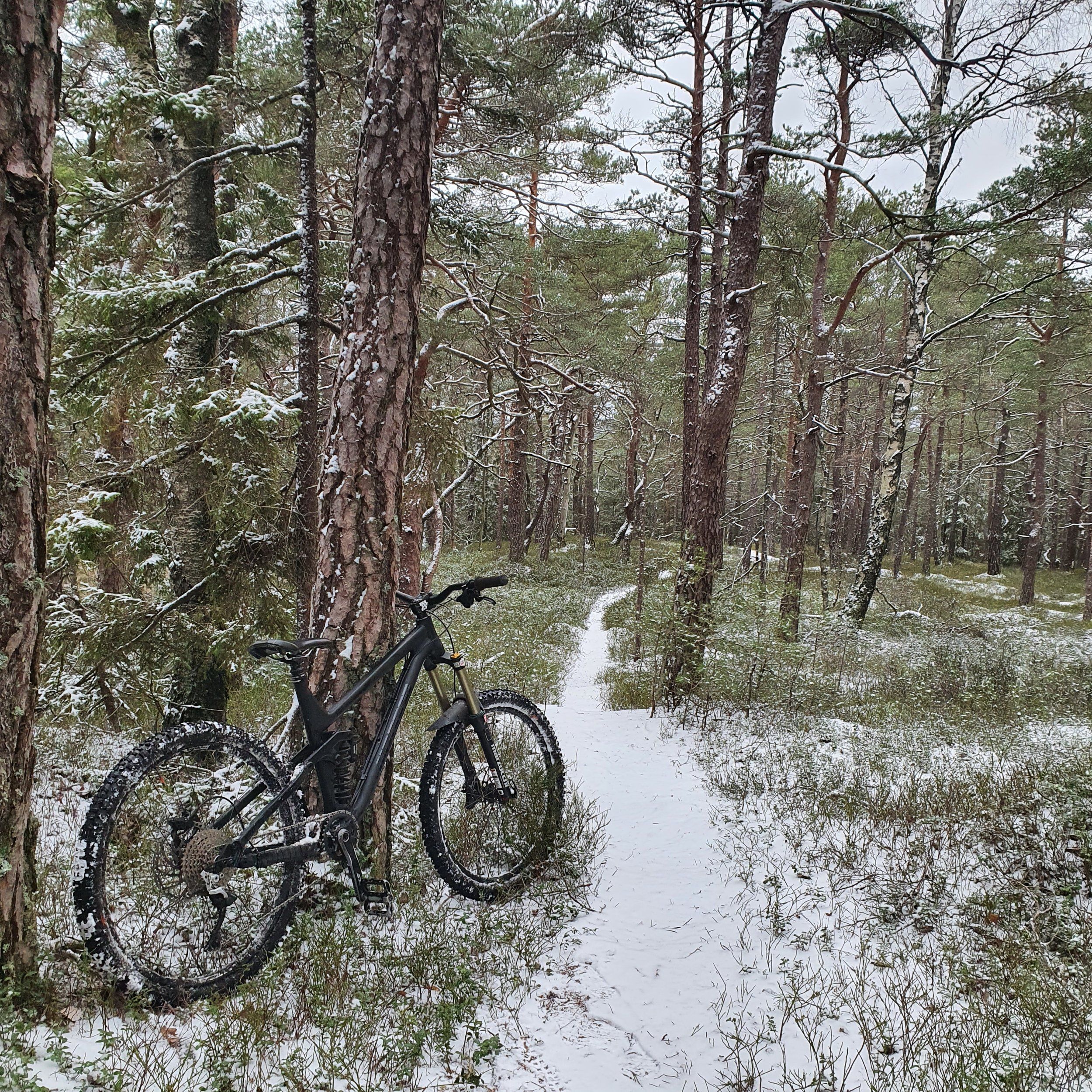 20201226_115429.jpg