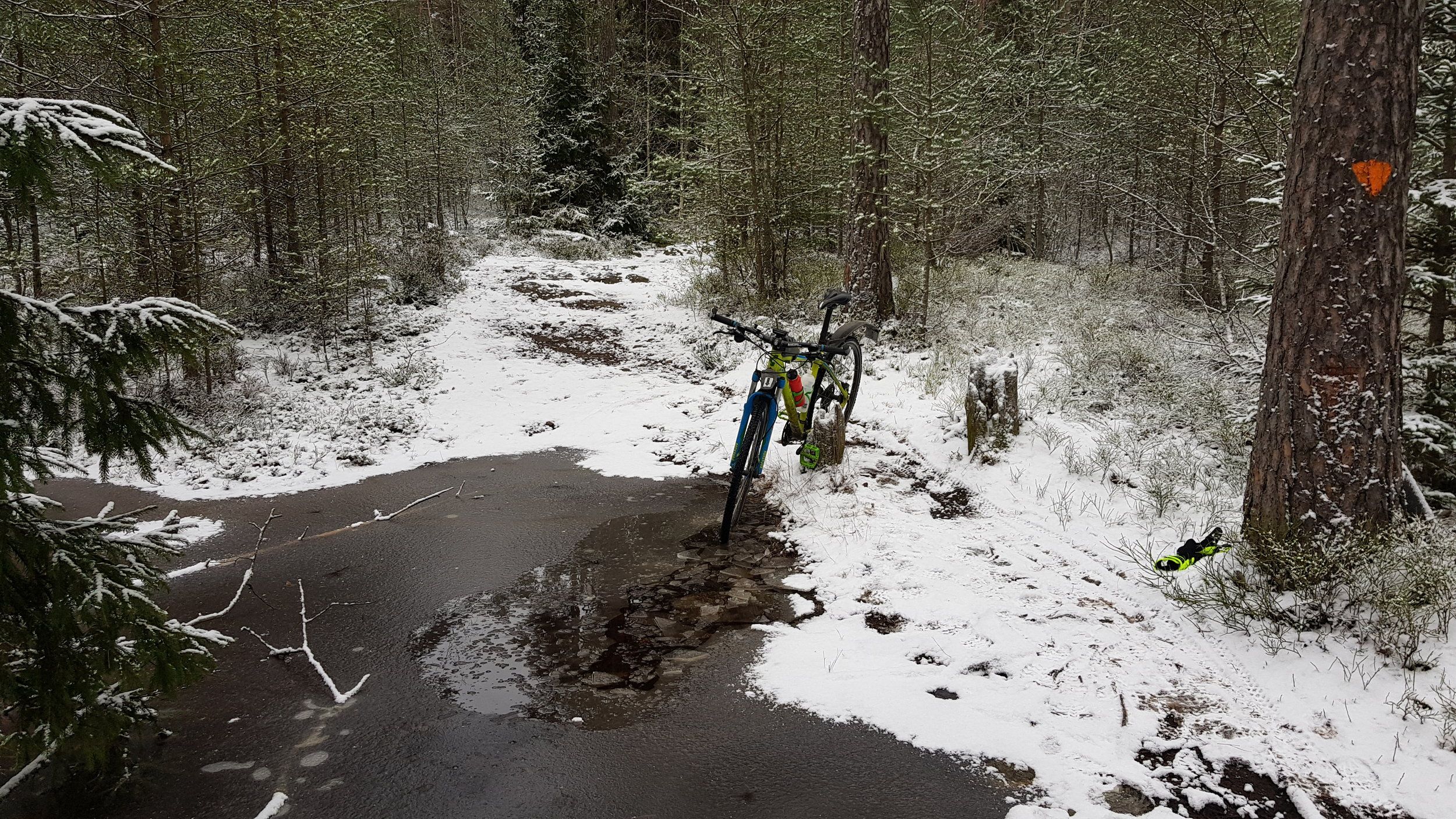 20201226_120240.jpg