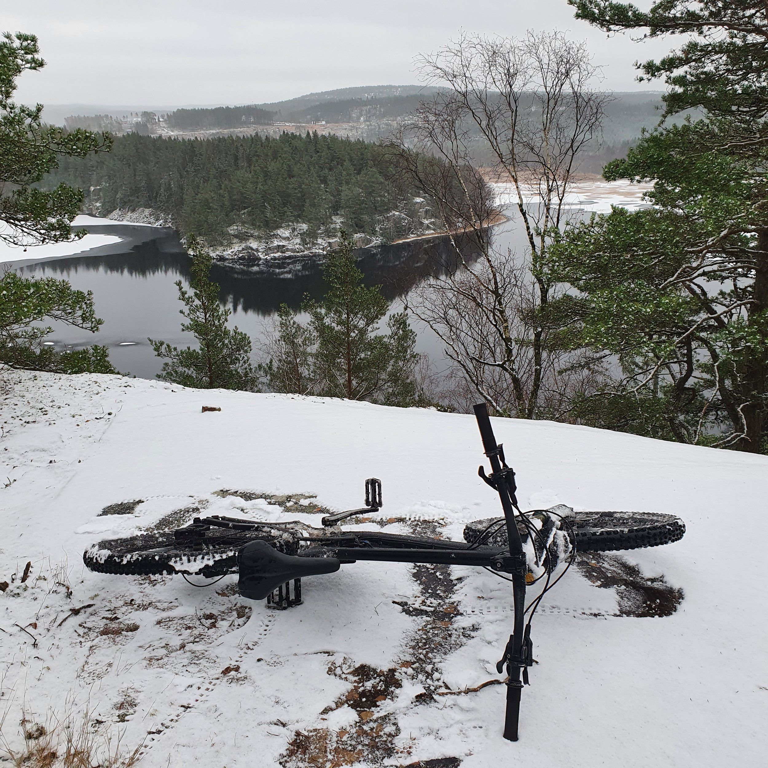 20201226_125559.jpg