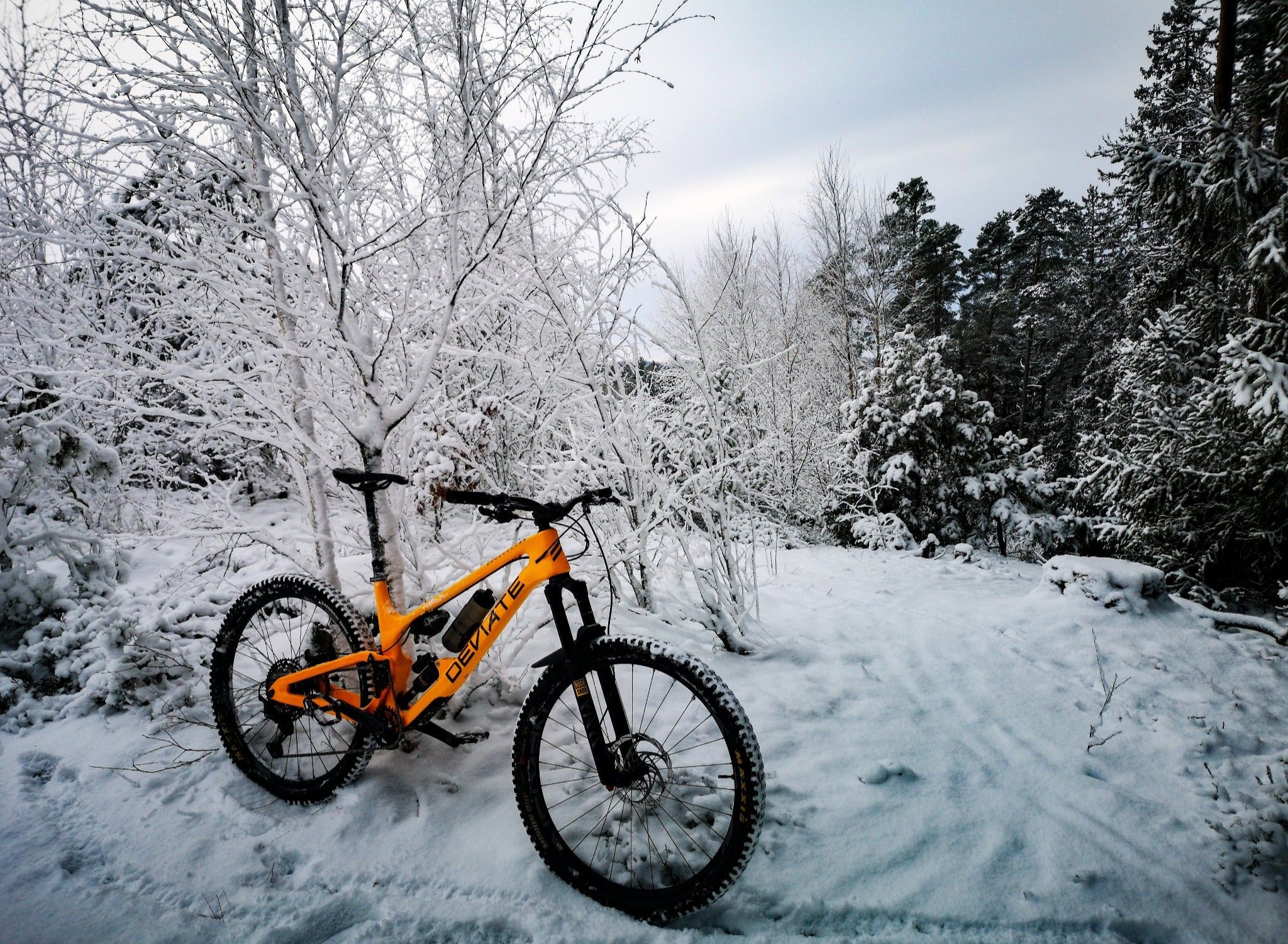20201226_152716.jpg