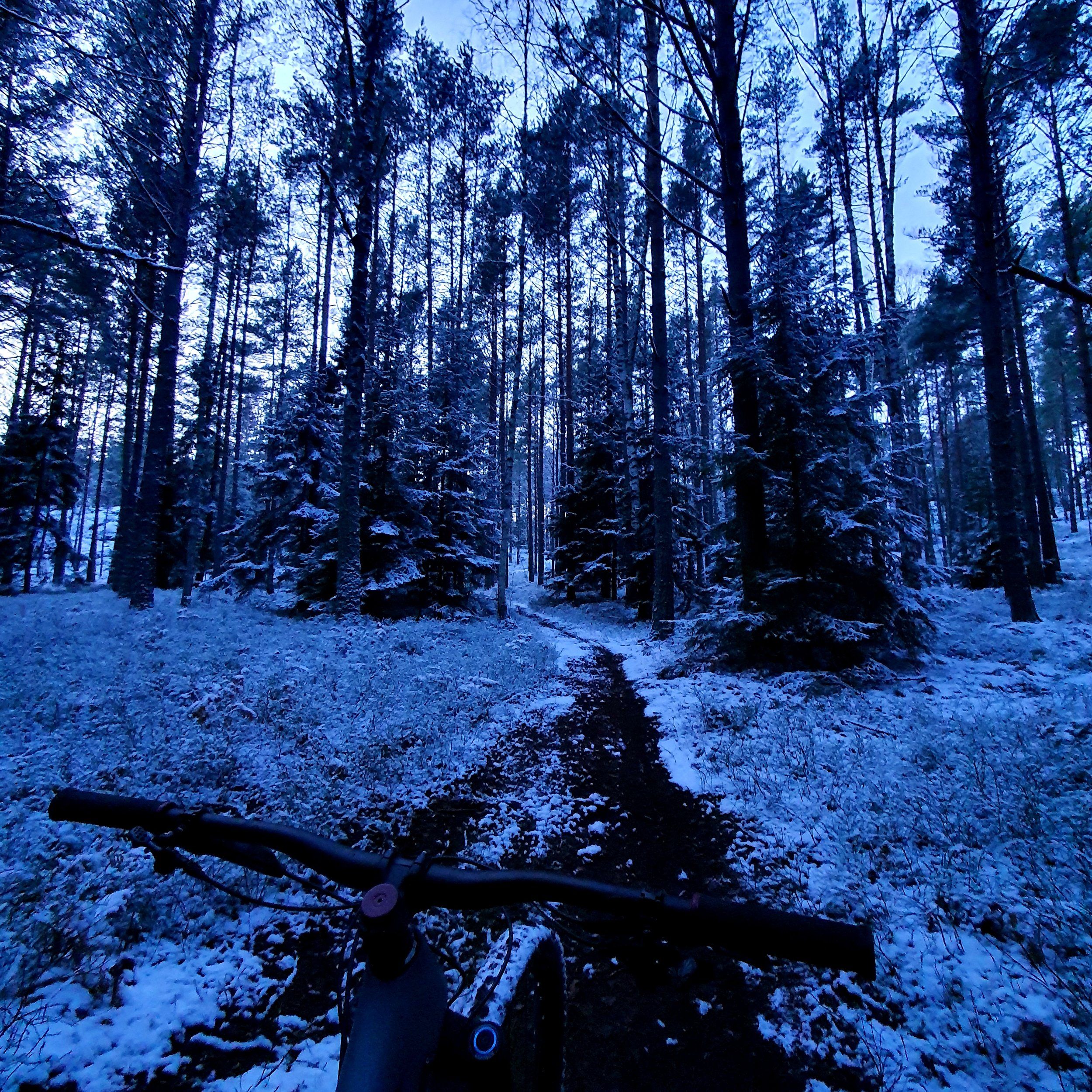 20201226_170756.jpg