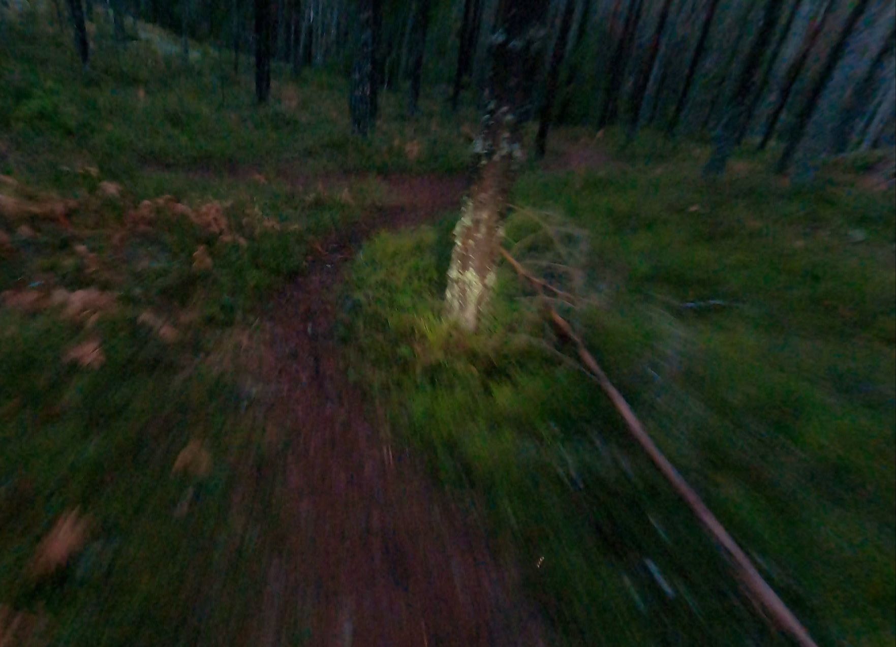 20201227_185457.jpg