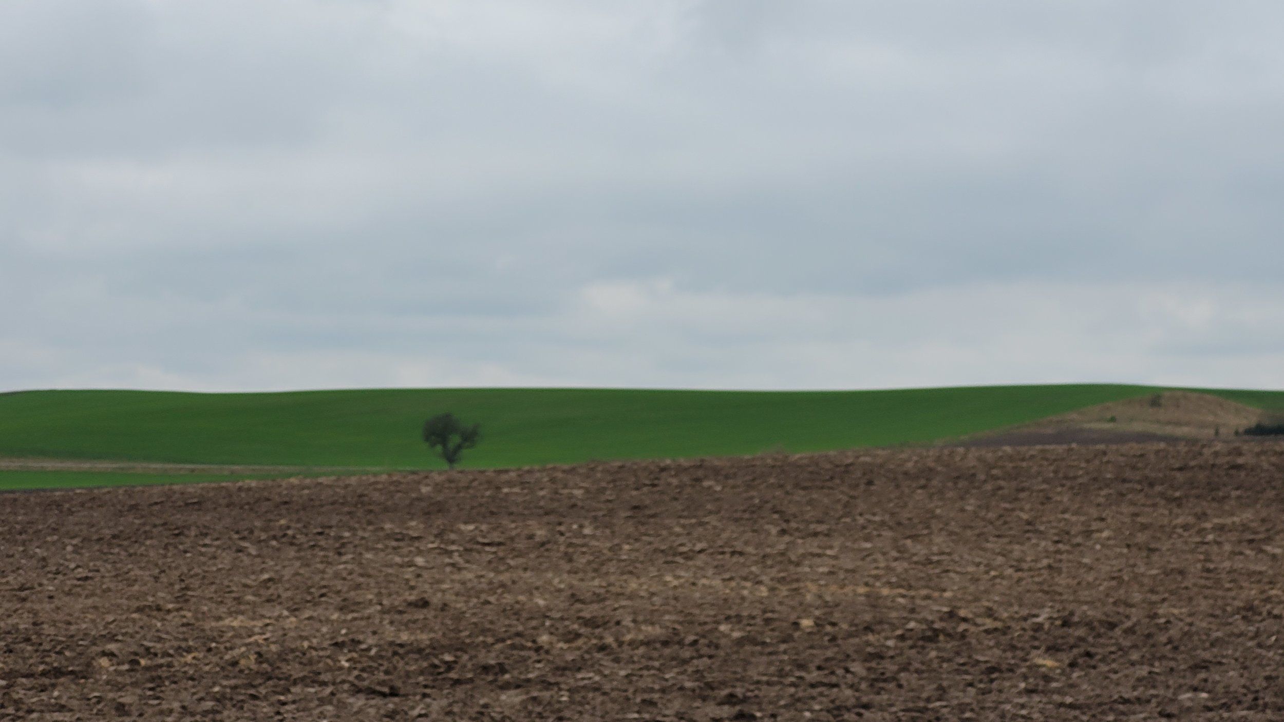 20201228_133953.jpg