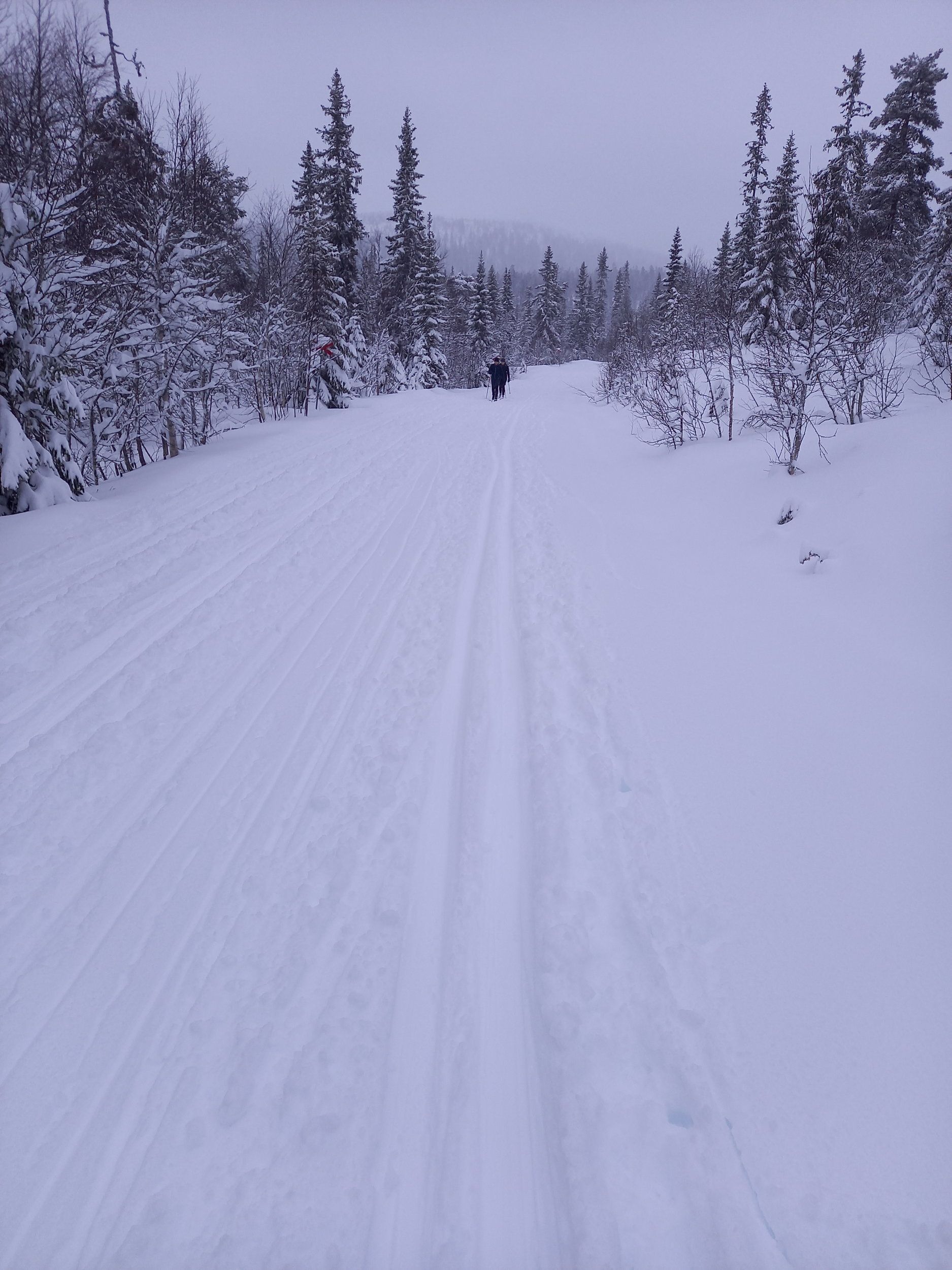 20201228_140311.jpg