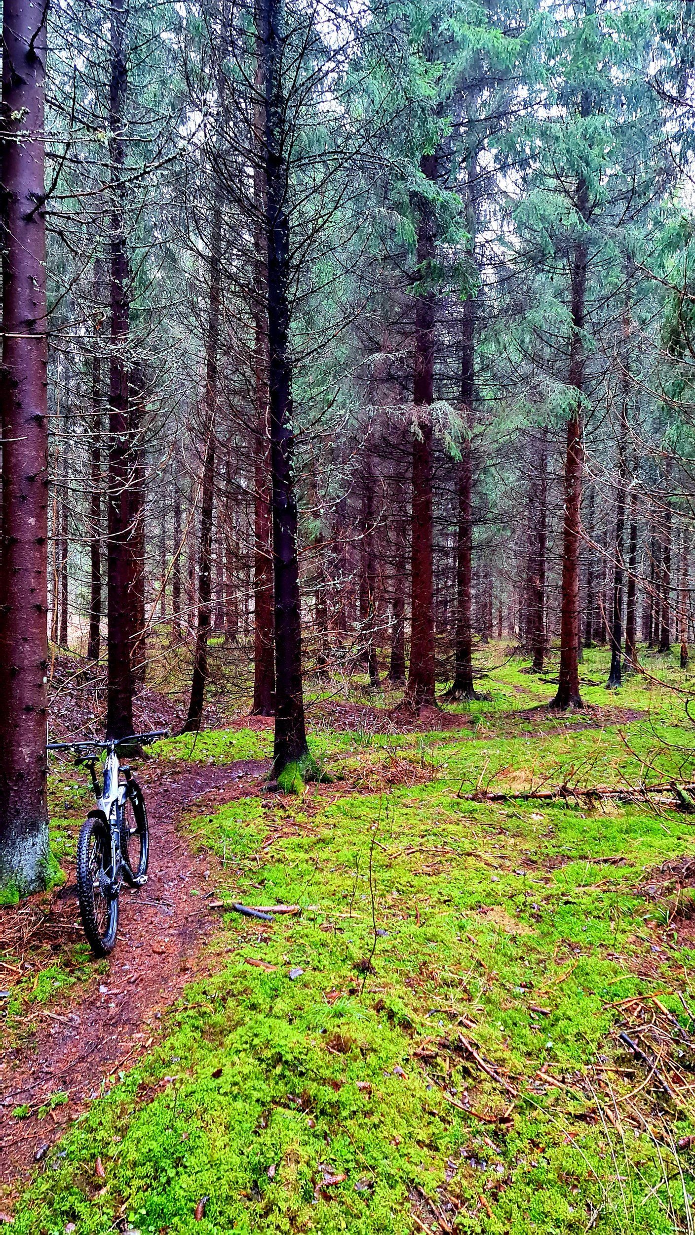 20201229_180909.jpg