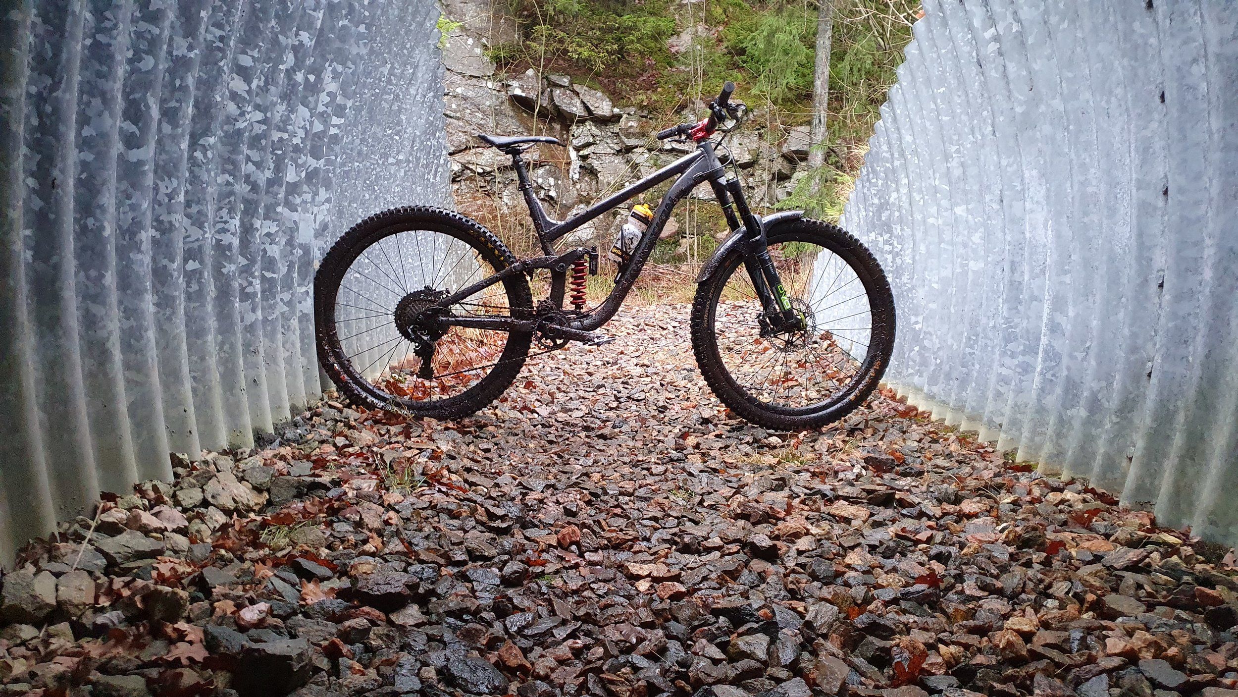 20201230_145633.jpg