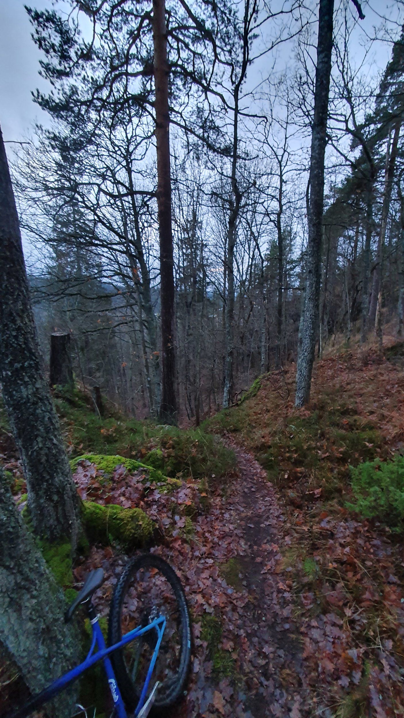 20201230_152520.jpg
