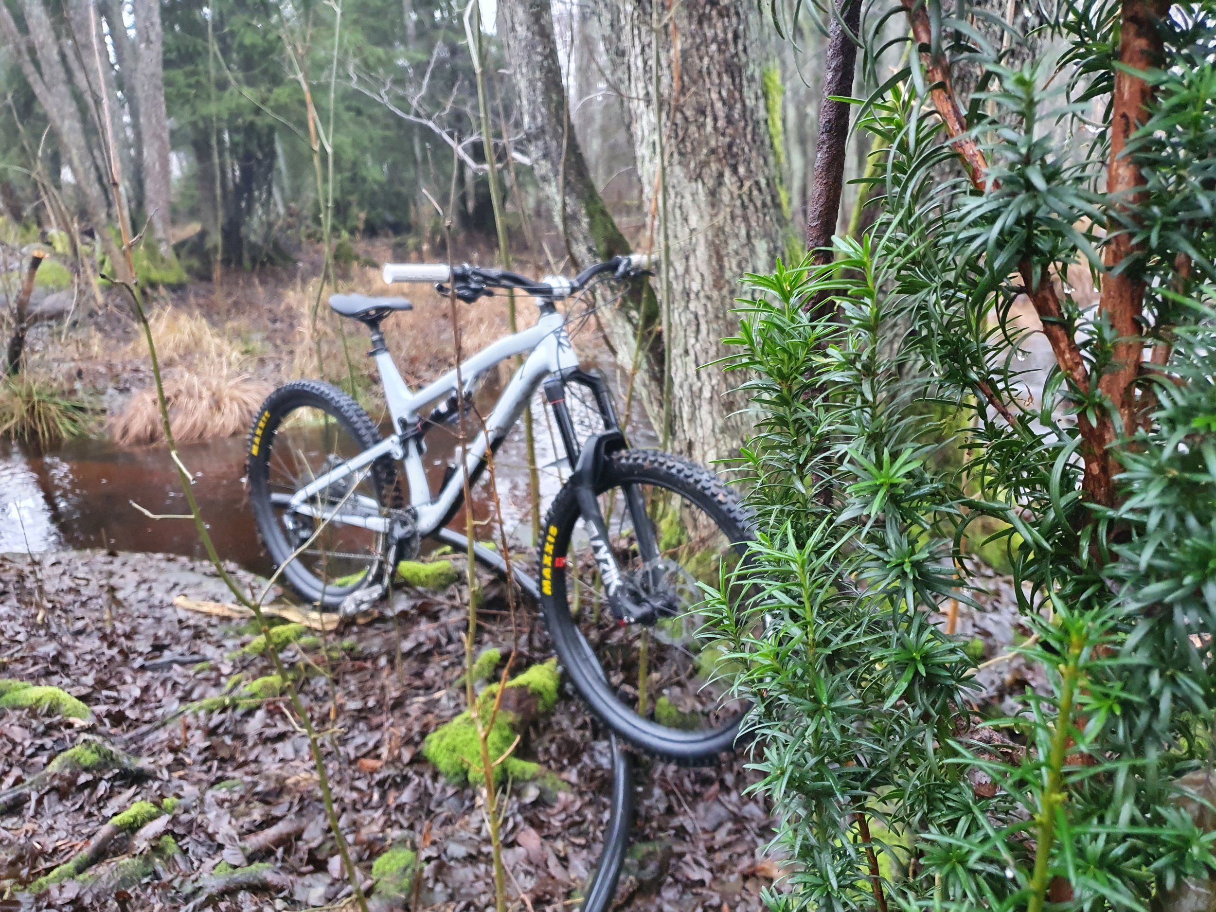20201231_103505.jpg
