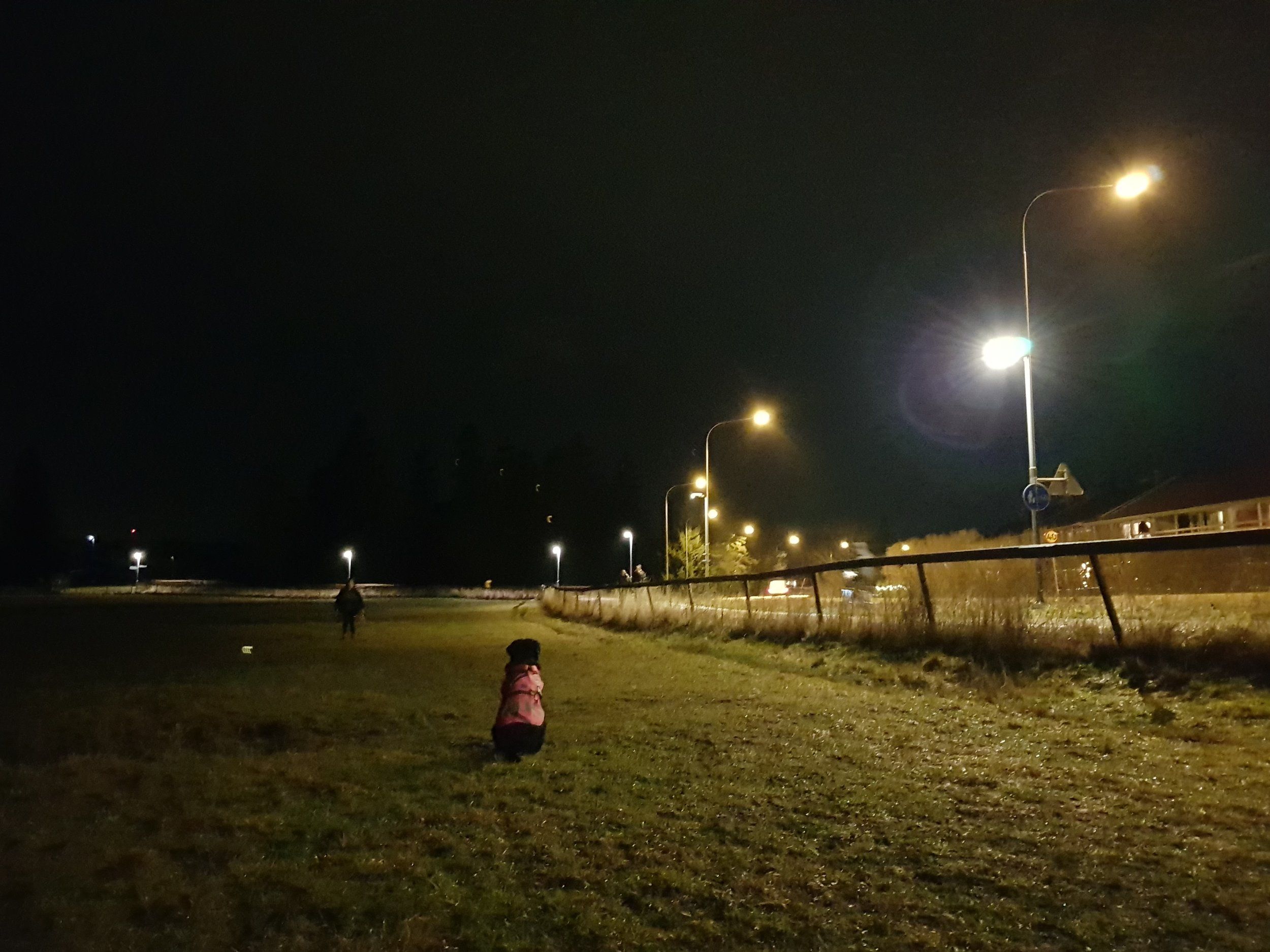 20201231_165331.jpg