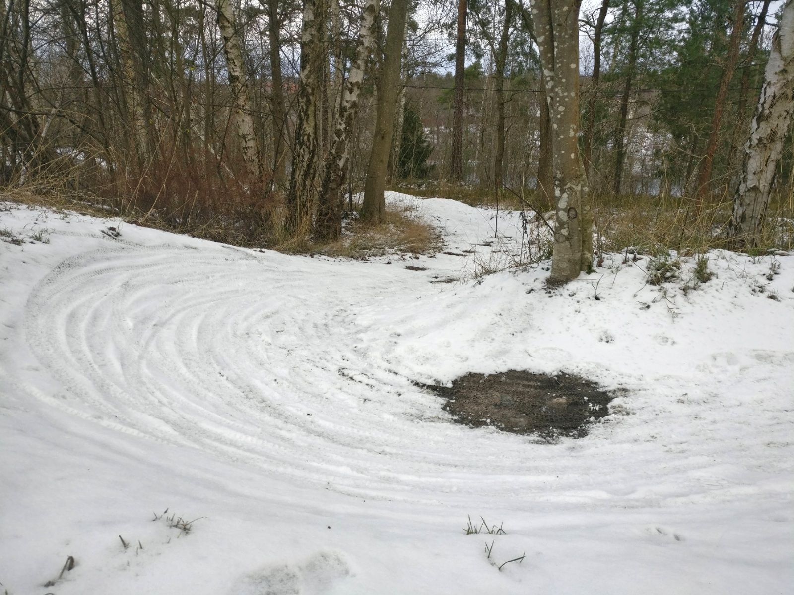 2021-01-10-11-10-48.jpg