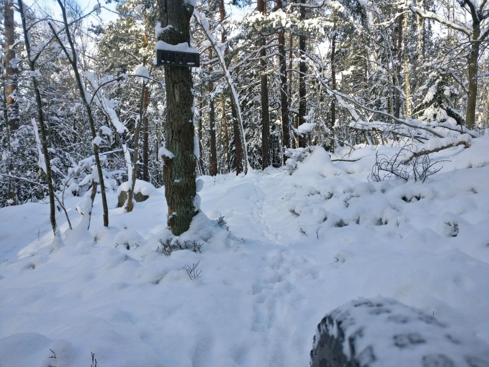 2021-02-06-11-38-03.jpg