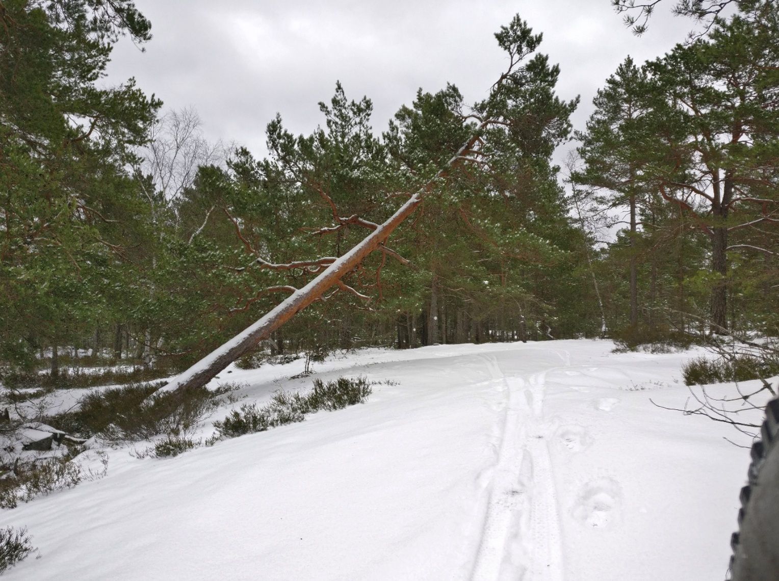 2021-03-11-08-25-25.jpg