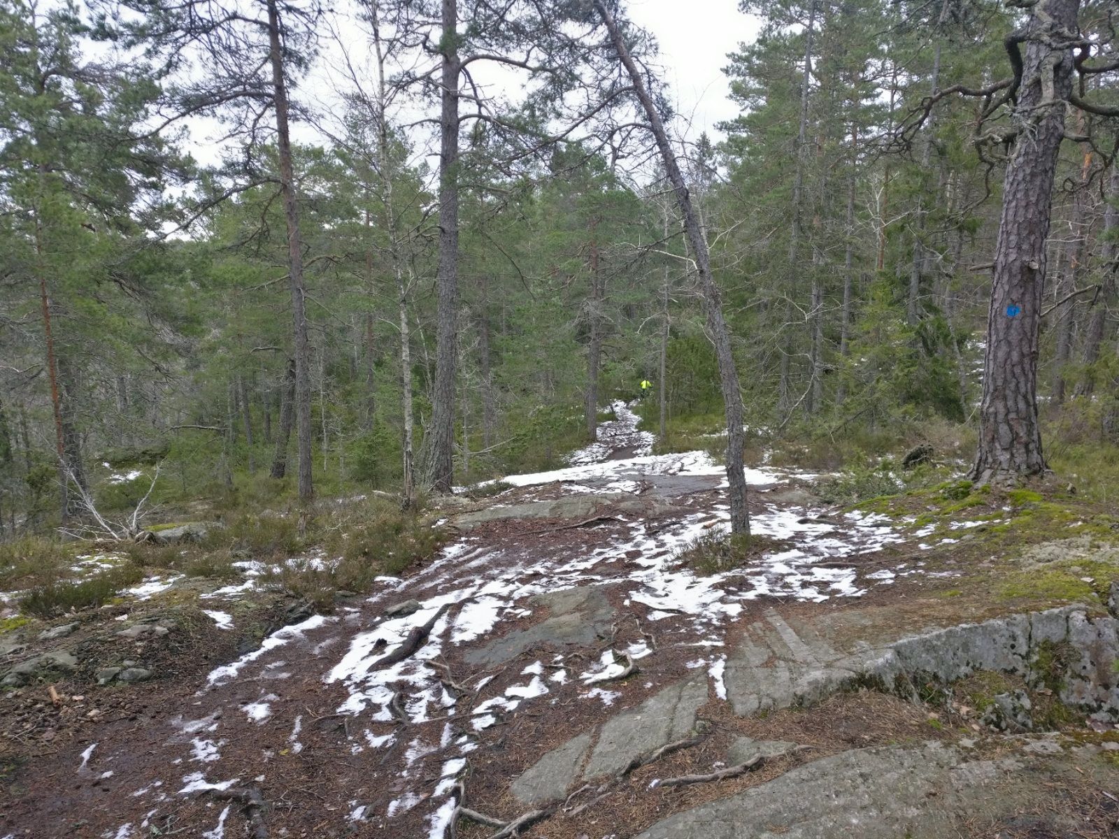 2021-03-14-20-59-11.jpg