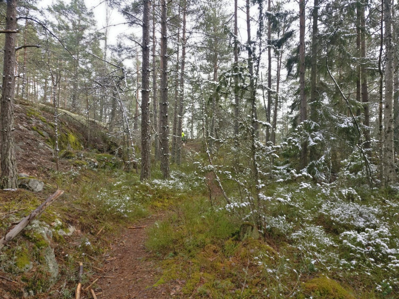 2021-04-05-17-22-13.jpg