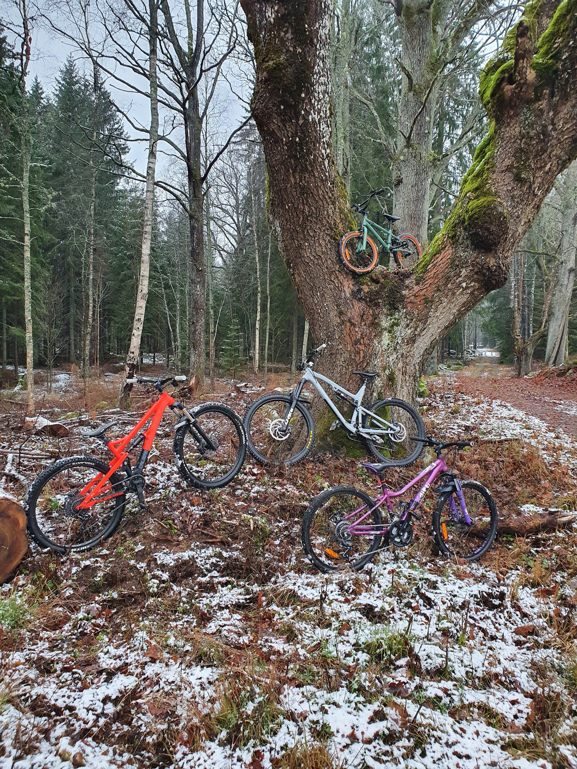 20210101_143849.jpg