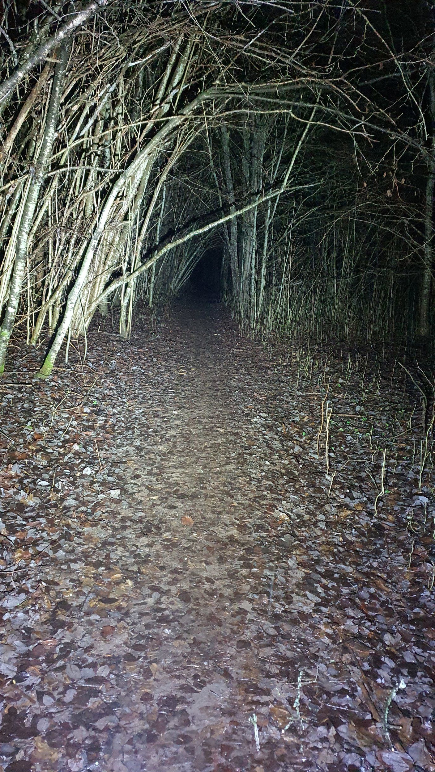 20210102_170544.jpg