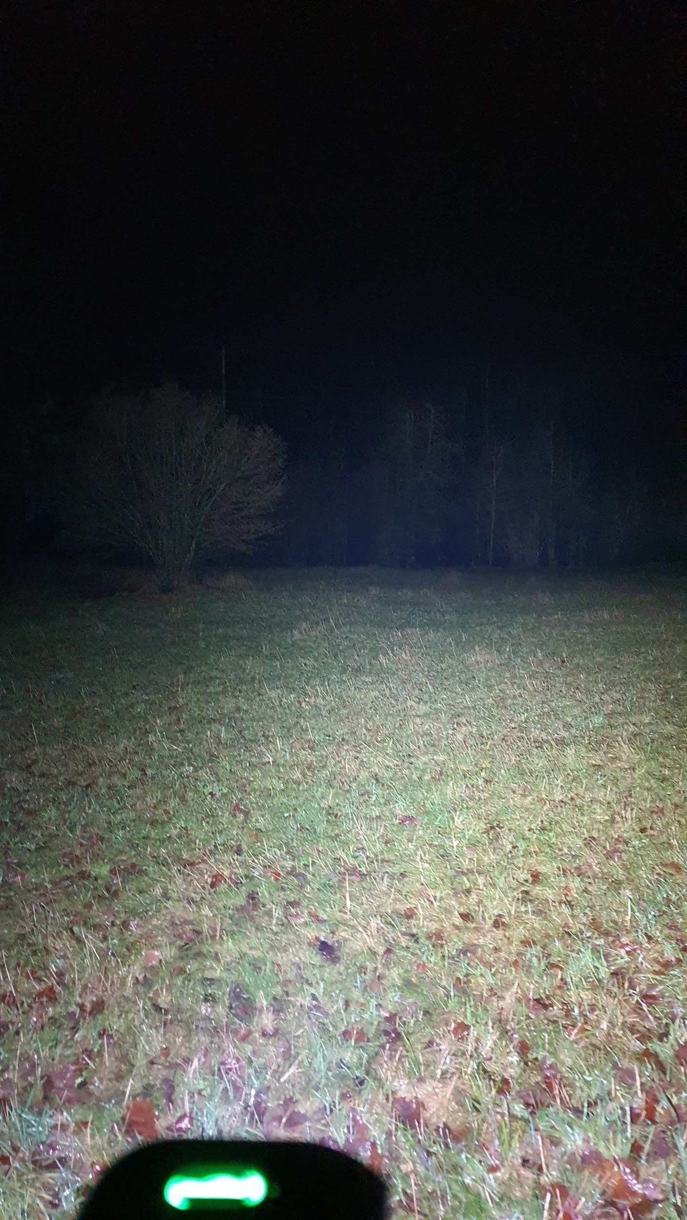 20210102_170845.jpg