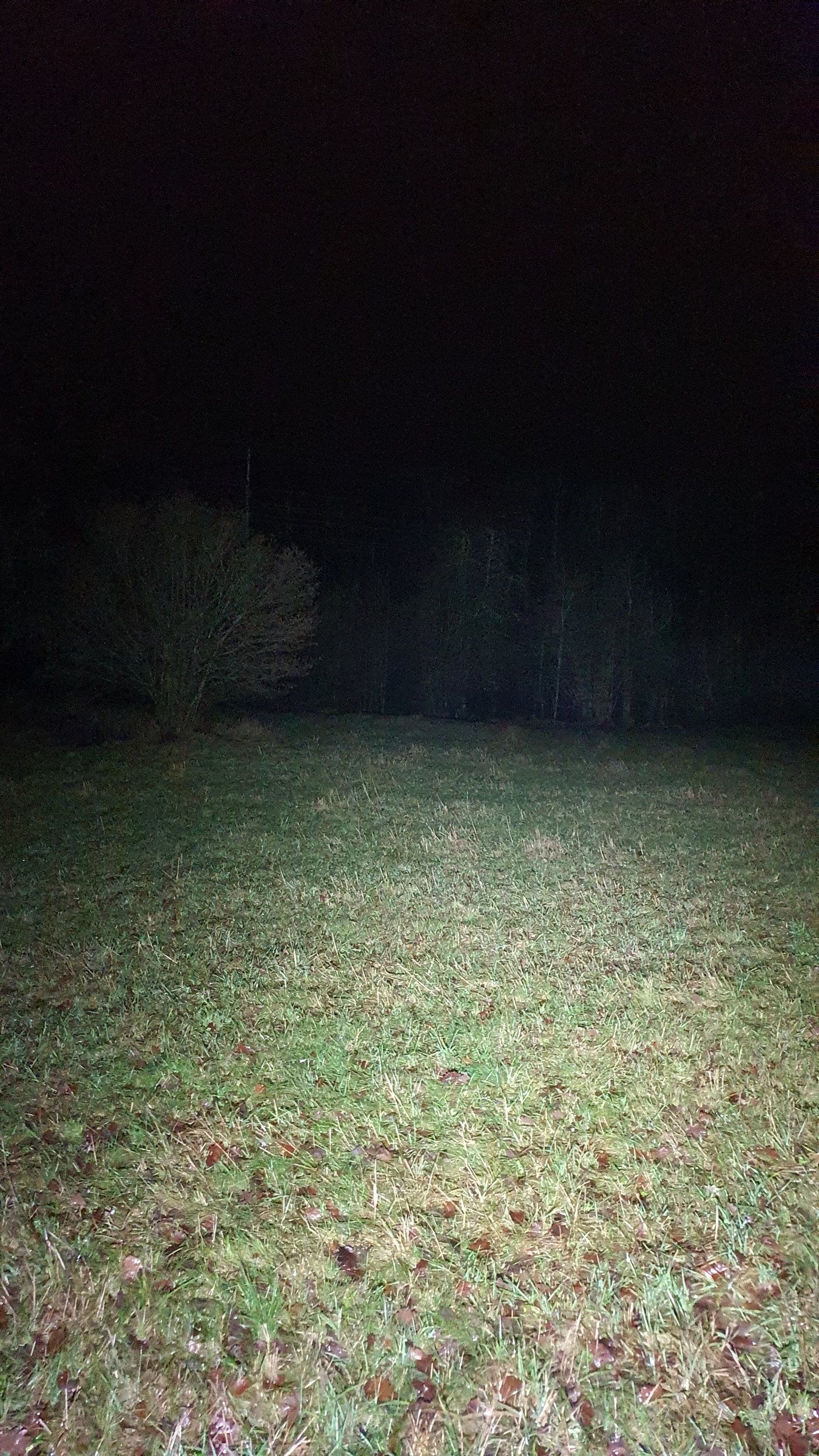 20210102_170849.jpg
