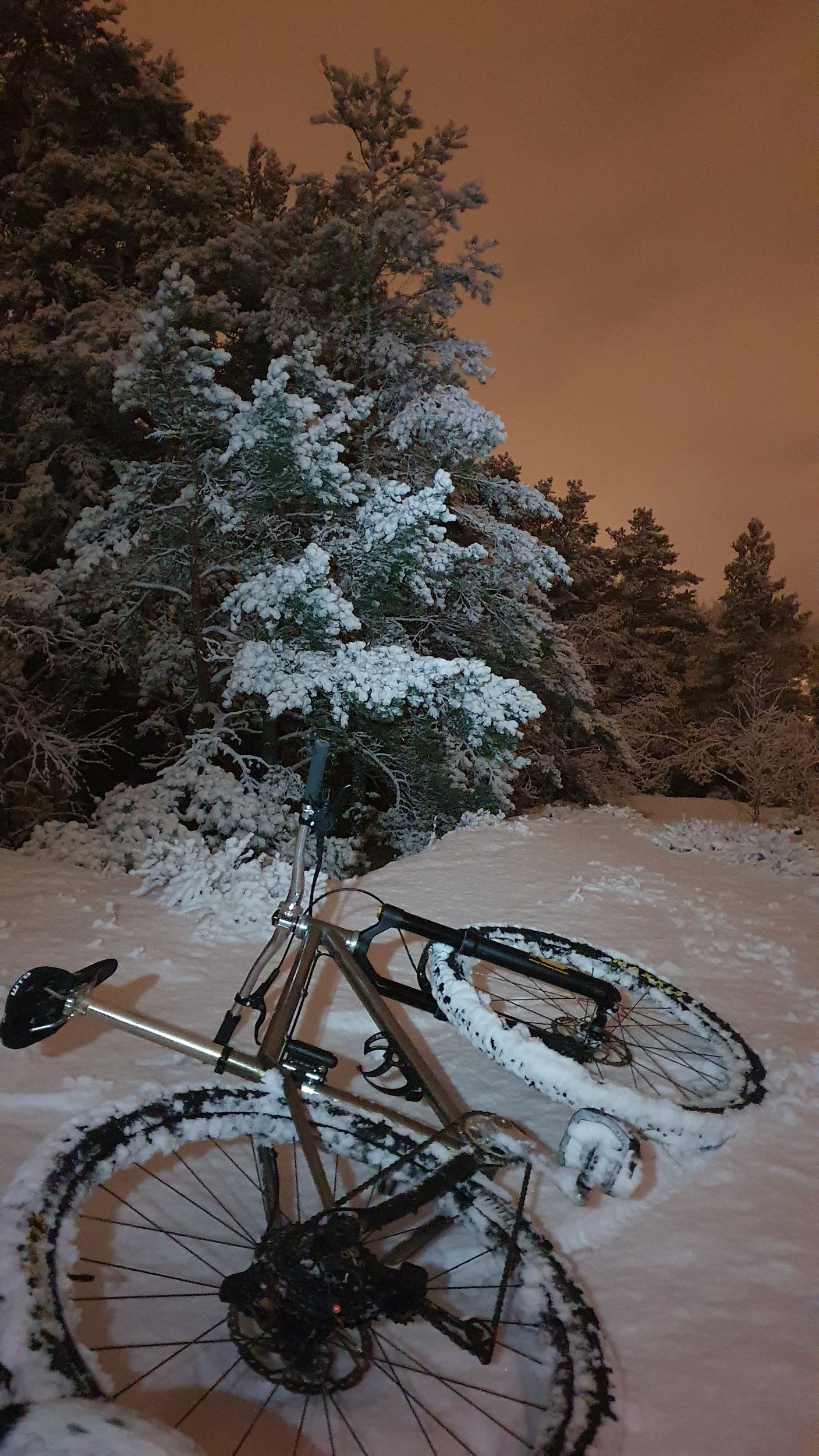 20210107_211419.jpg