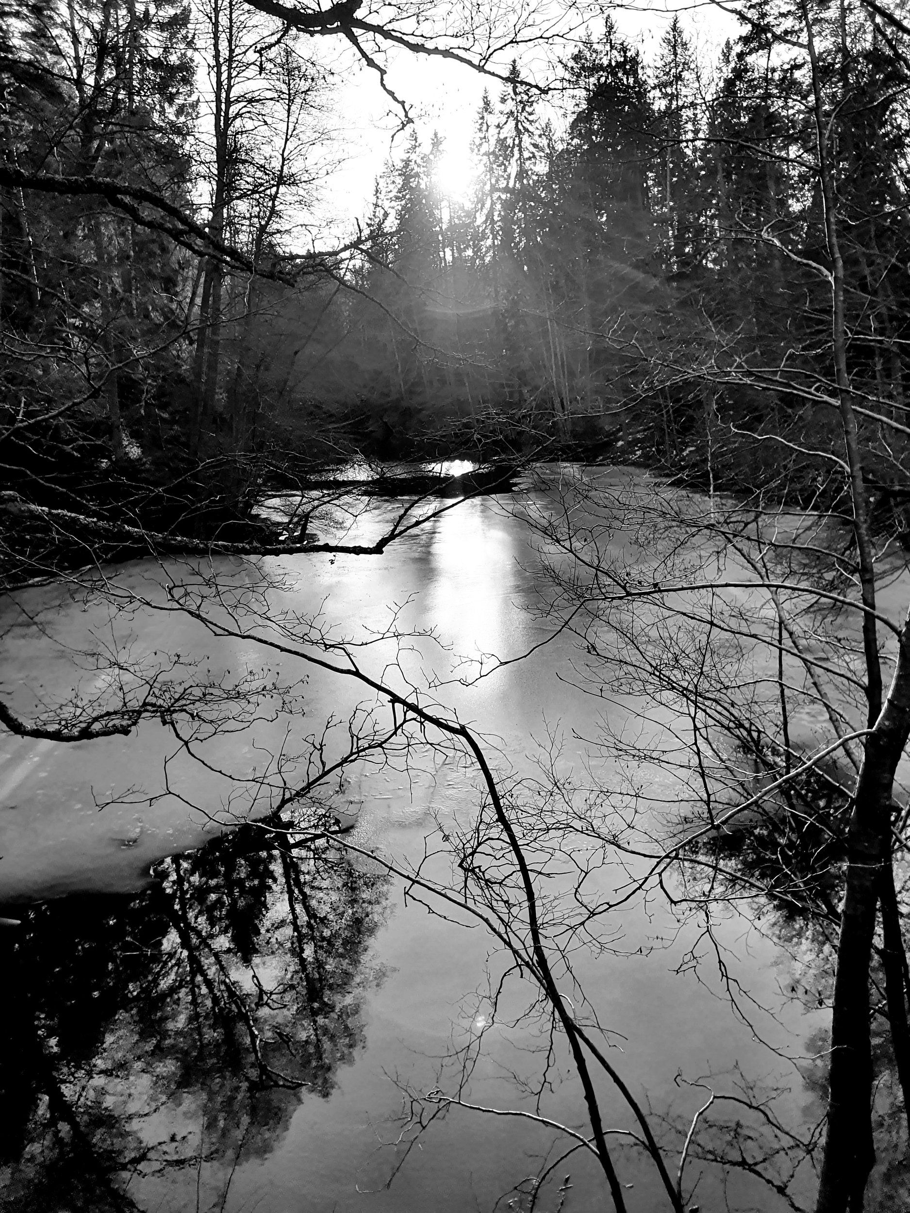 20210123_193533.jpg