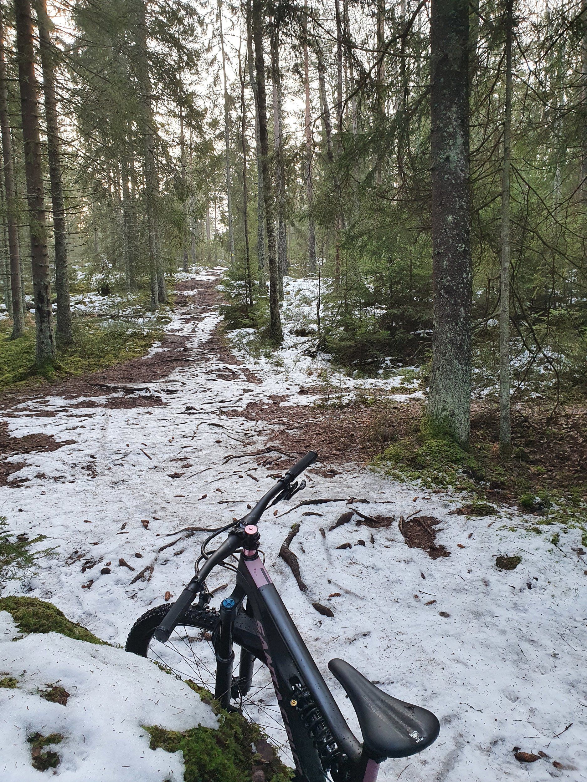 20210124_140533.jpg