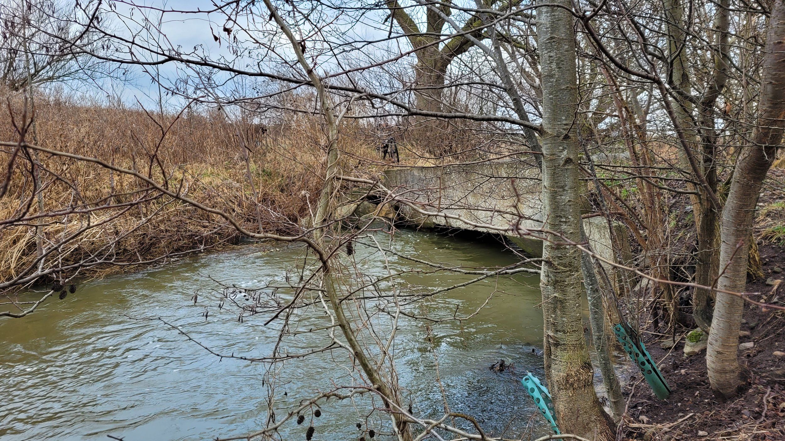 20210125_144430.jpg