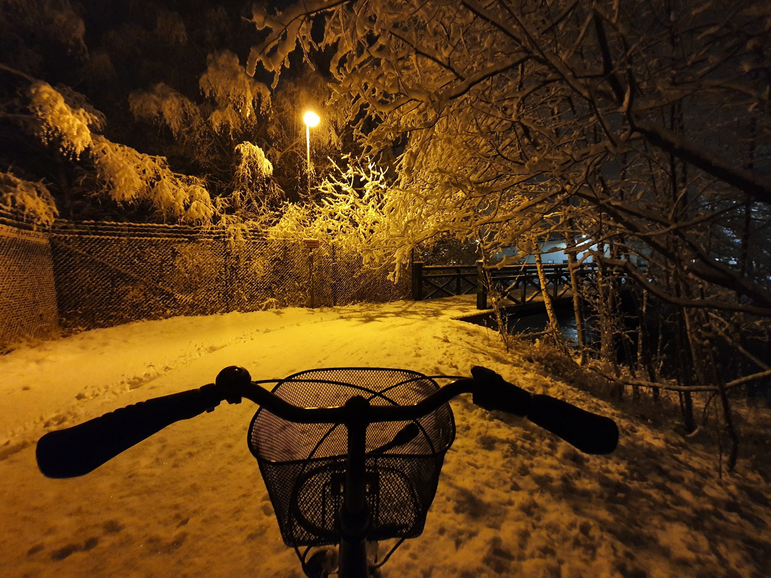 20210128_052616.jpg