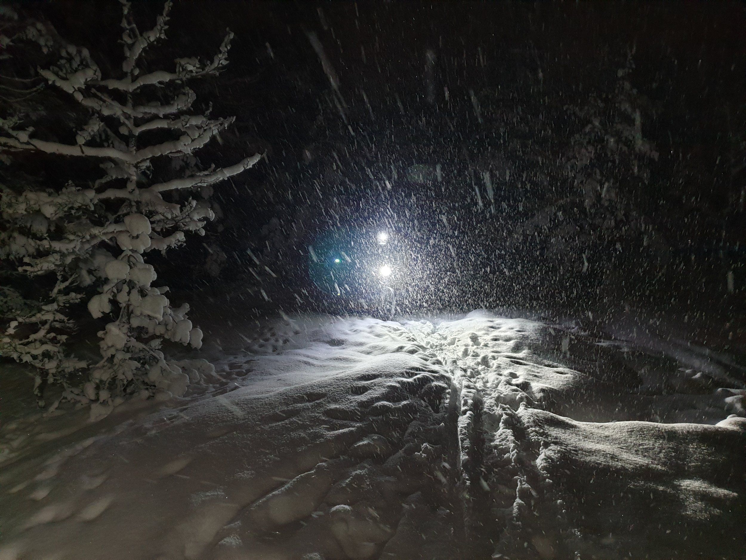 20210128_194823.jpg