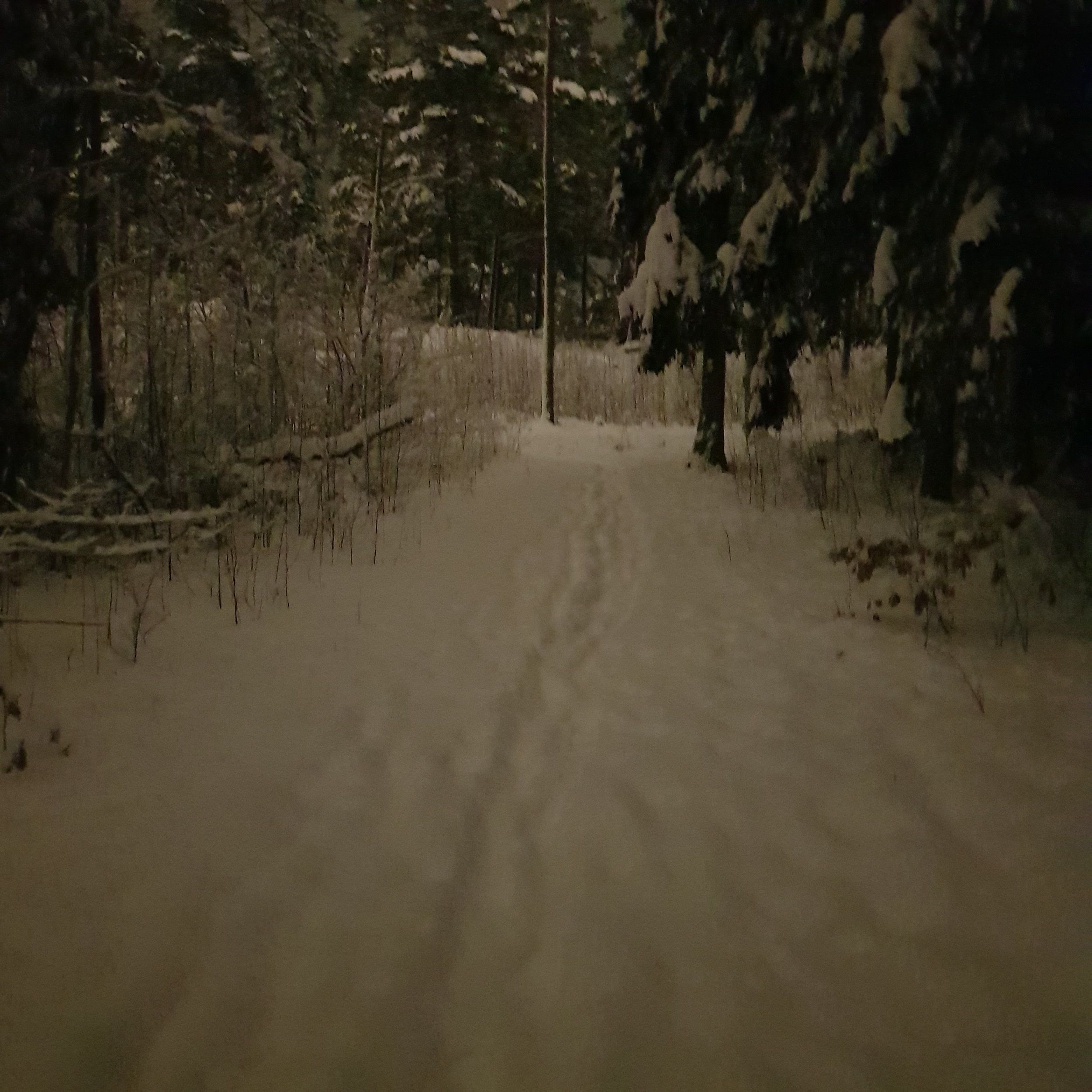 20210202_175403.jpg