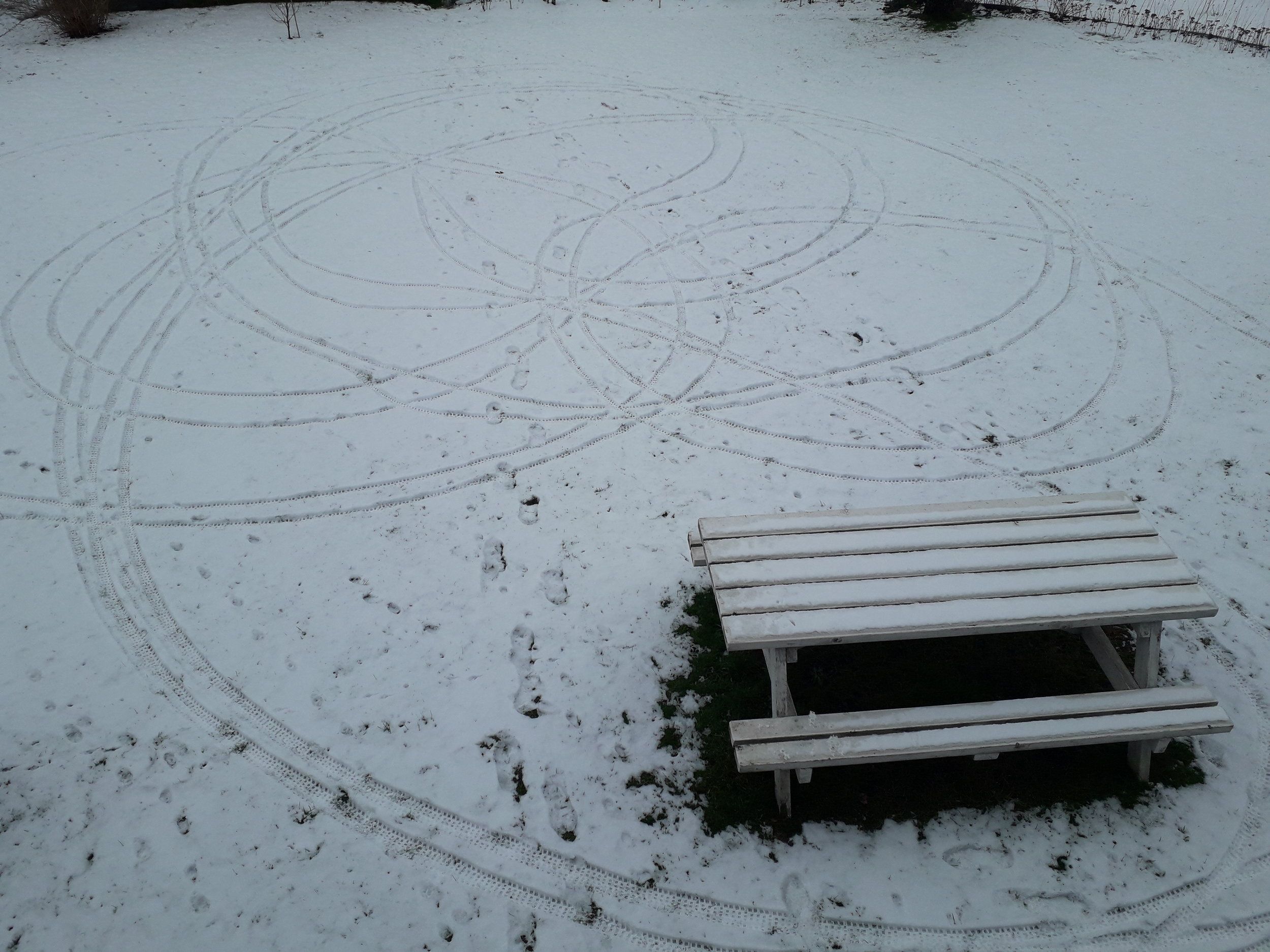 20210203_123021.jpg