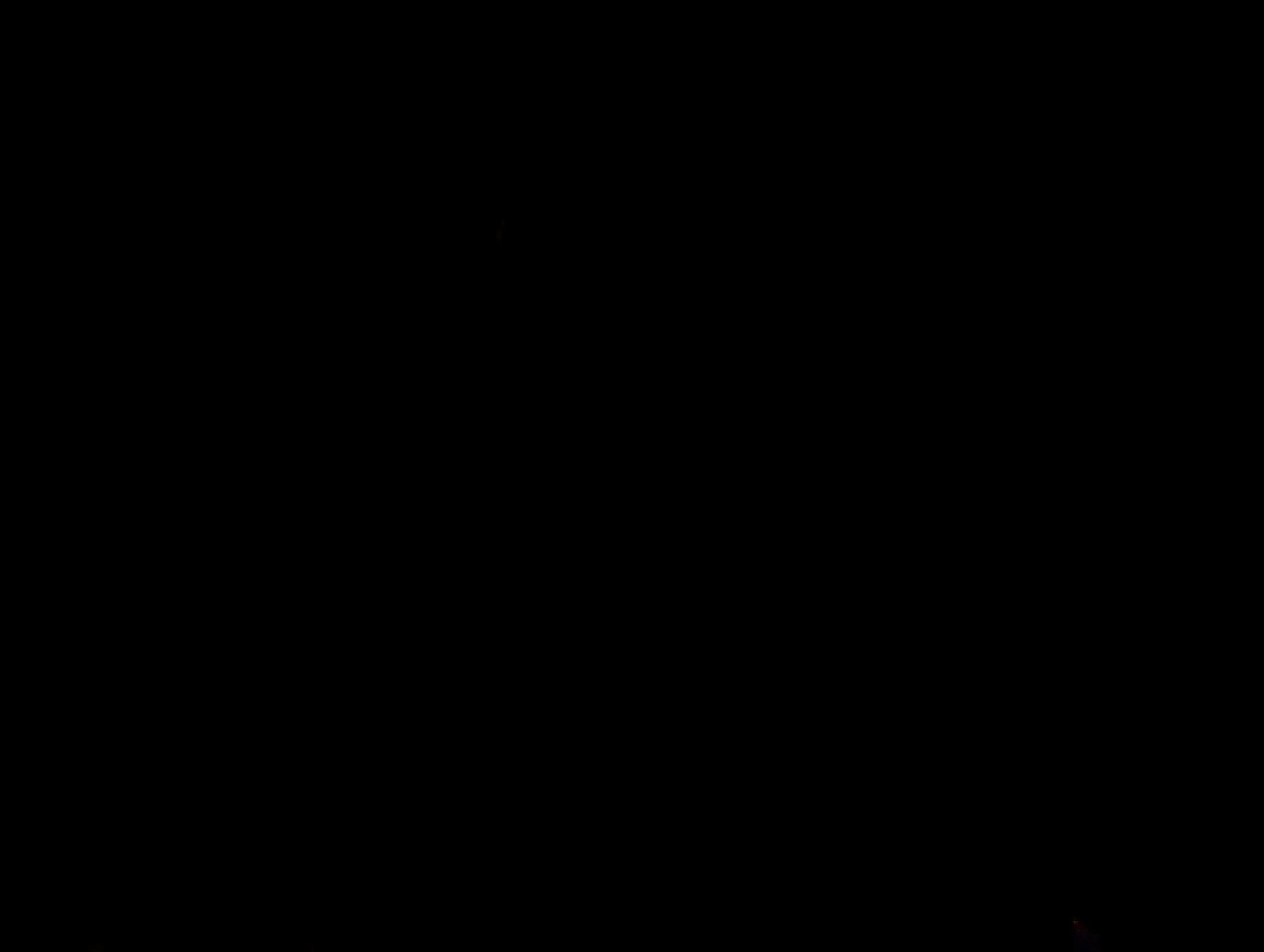 20210204_073434.jpg
