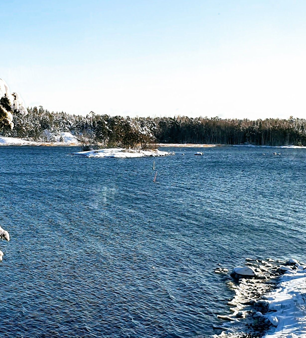 20210204_133010.jpg