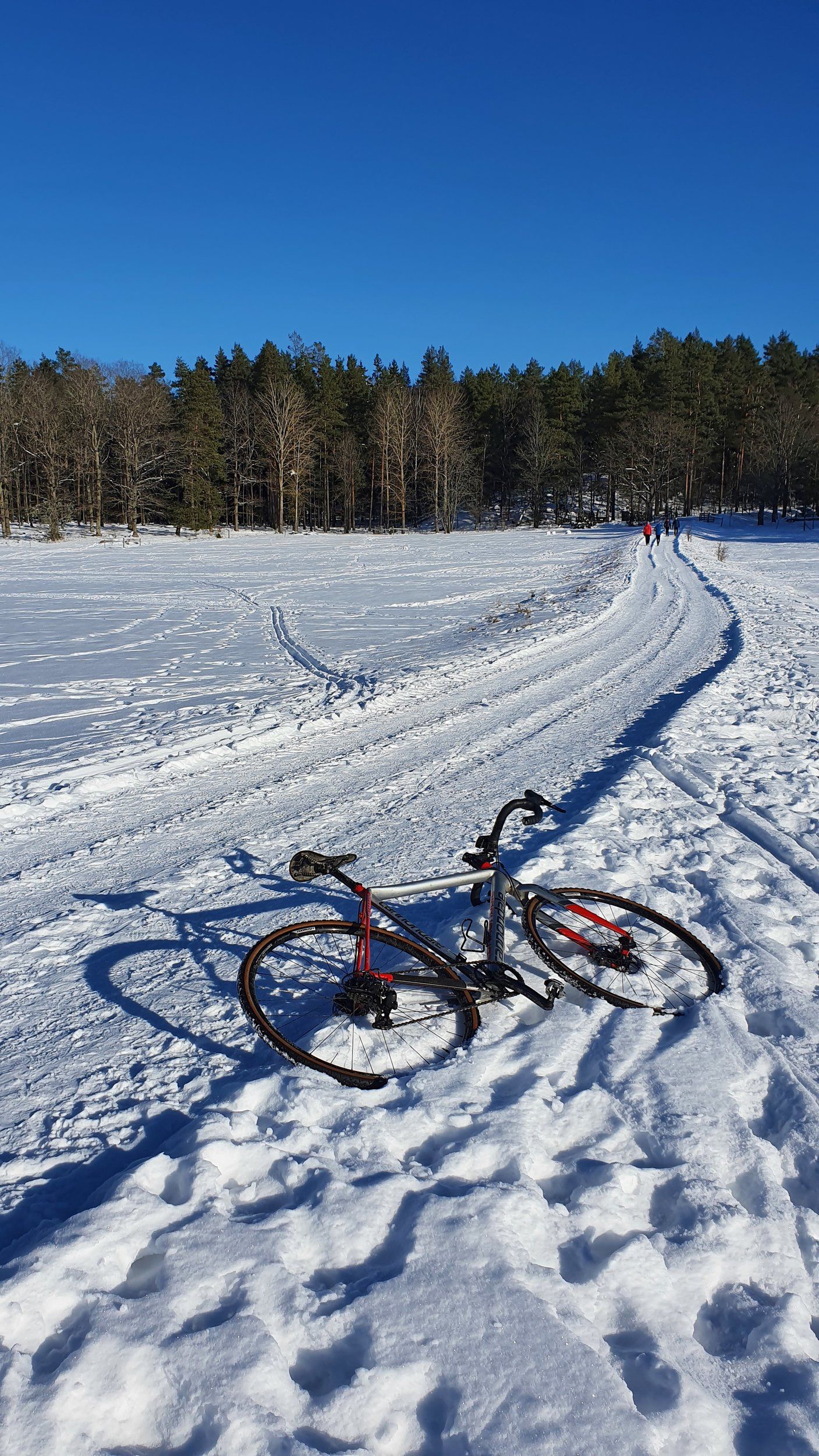 20210214_130908.jpg