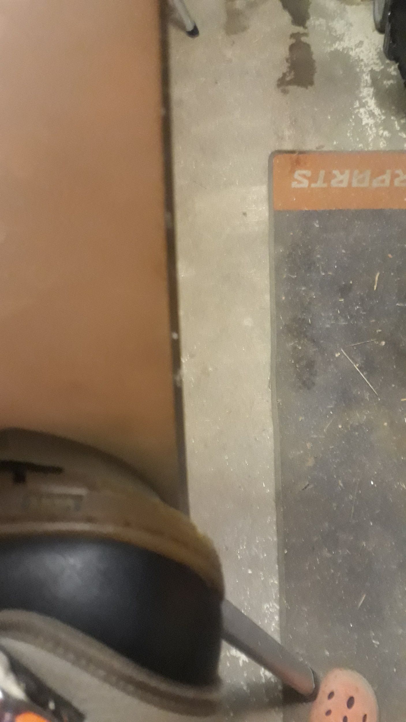 20210221_202443.jpg