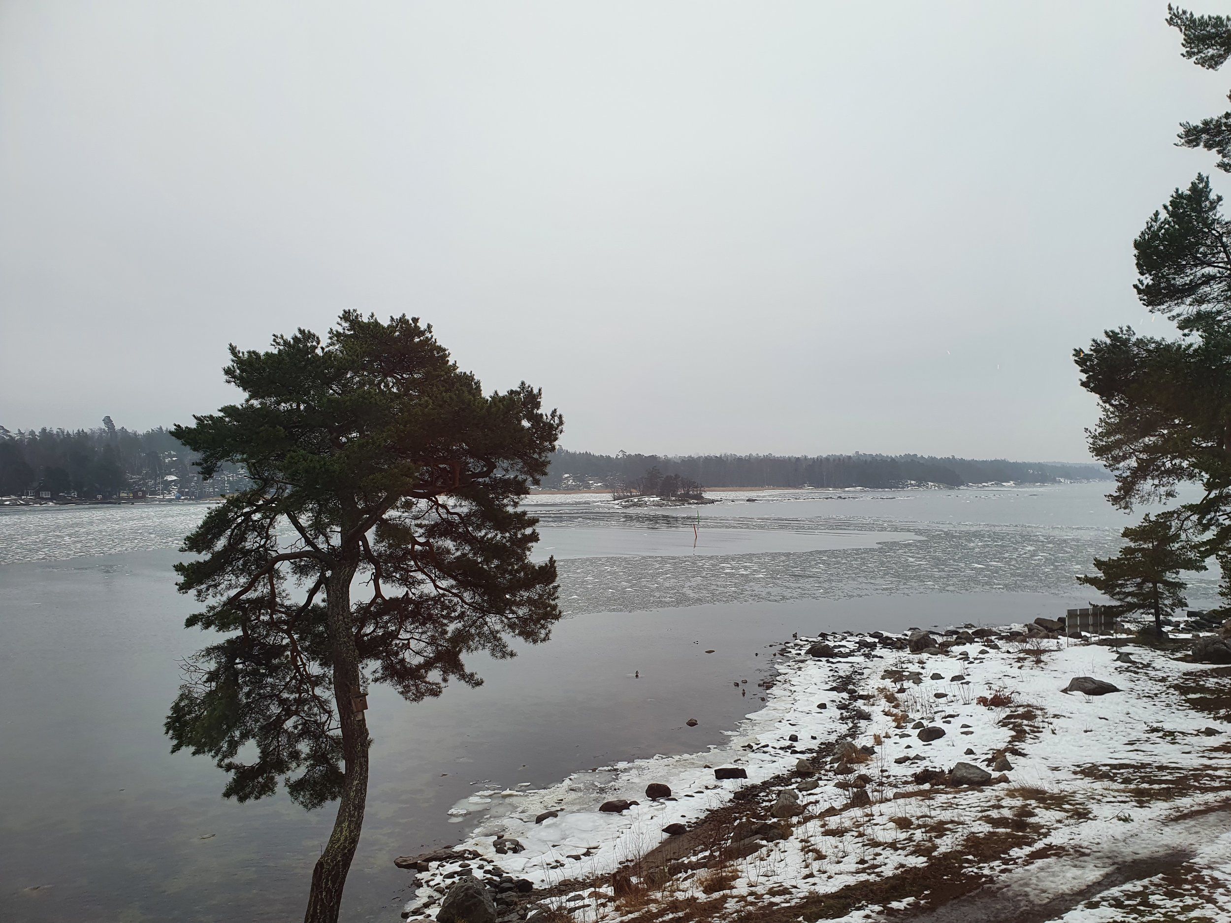 20210223_104025.jpg